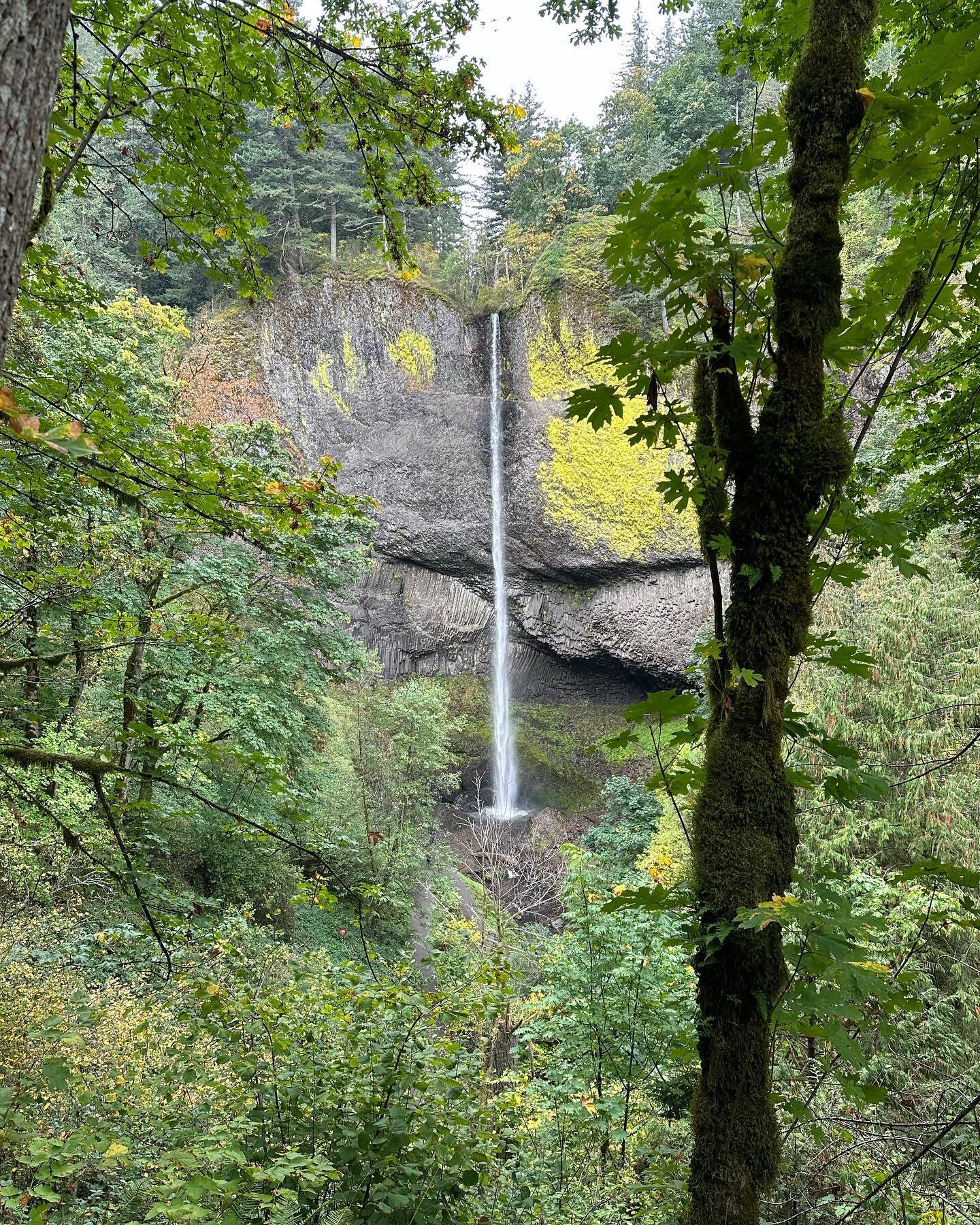 Another waterfall hike. Lower Latourelle and also the upper falls, a mere .8 mile up the trail. Check out the guy without a shirt. Free shower! Must&rsquo;ve been a bit chilly. We stopped in at Crown Point on the way home, the craftsmanship is incred