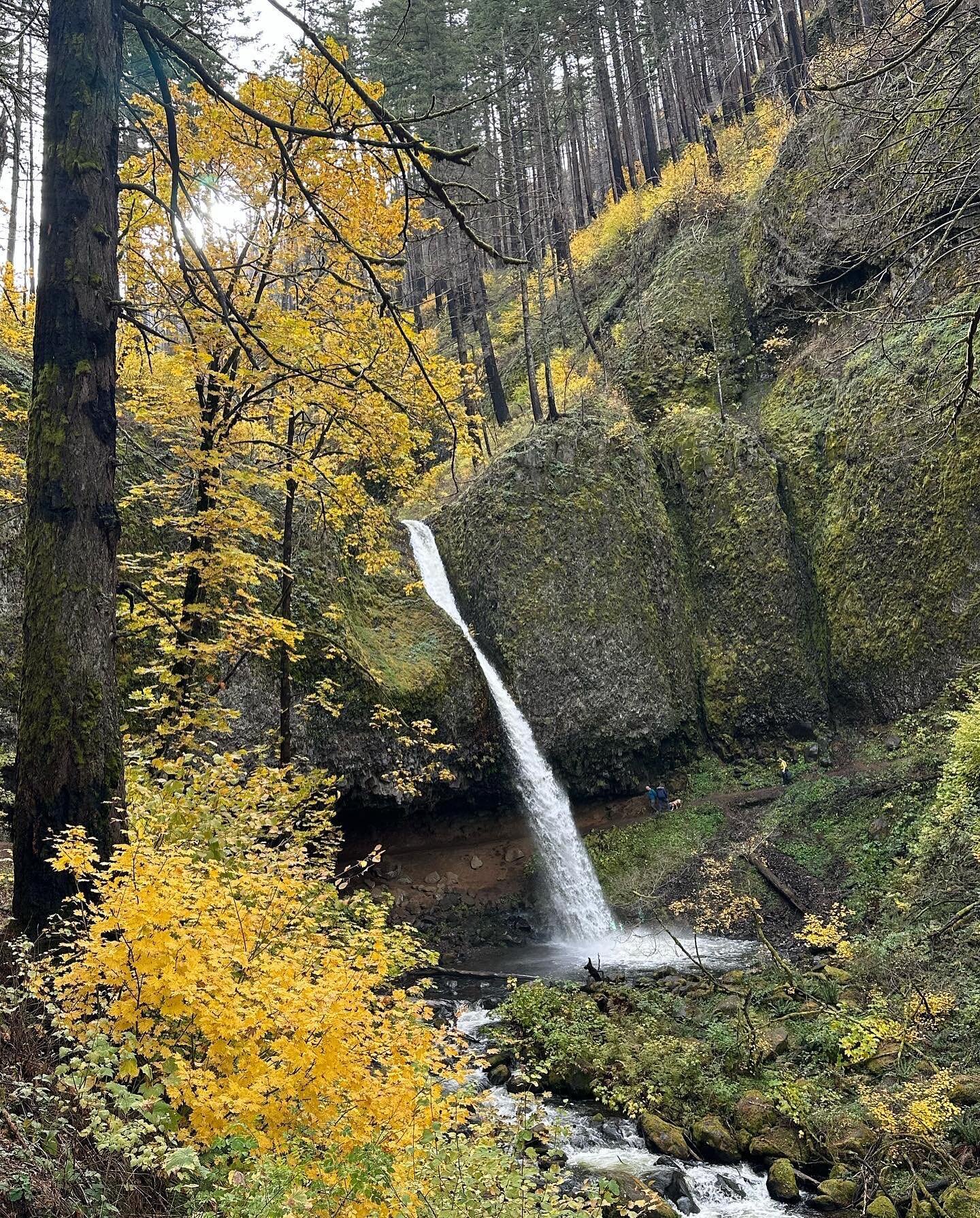 More waterfalls on a spectacular fall day in the beautiful Columbia Gorge. Horsetail Falls is right alongside the Scenic Highway and Ponytail Falls is half a mile up, where the trail goes behind the falls! It continues over to Oneonta Gorge, the site