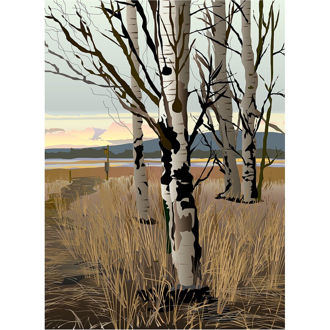 One of my original illustrations, and still one of my favorites &ndash; Conboy Lake Wildlife Refuge near Mt. Adams in Washington. It's such a nice wintertime hike, although it's actually more of a stroll. Love these subtle colors. #conboylakenational