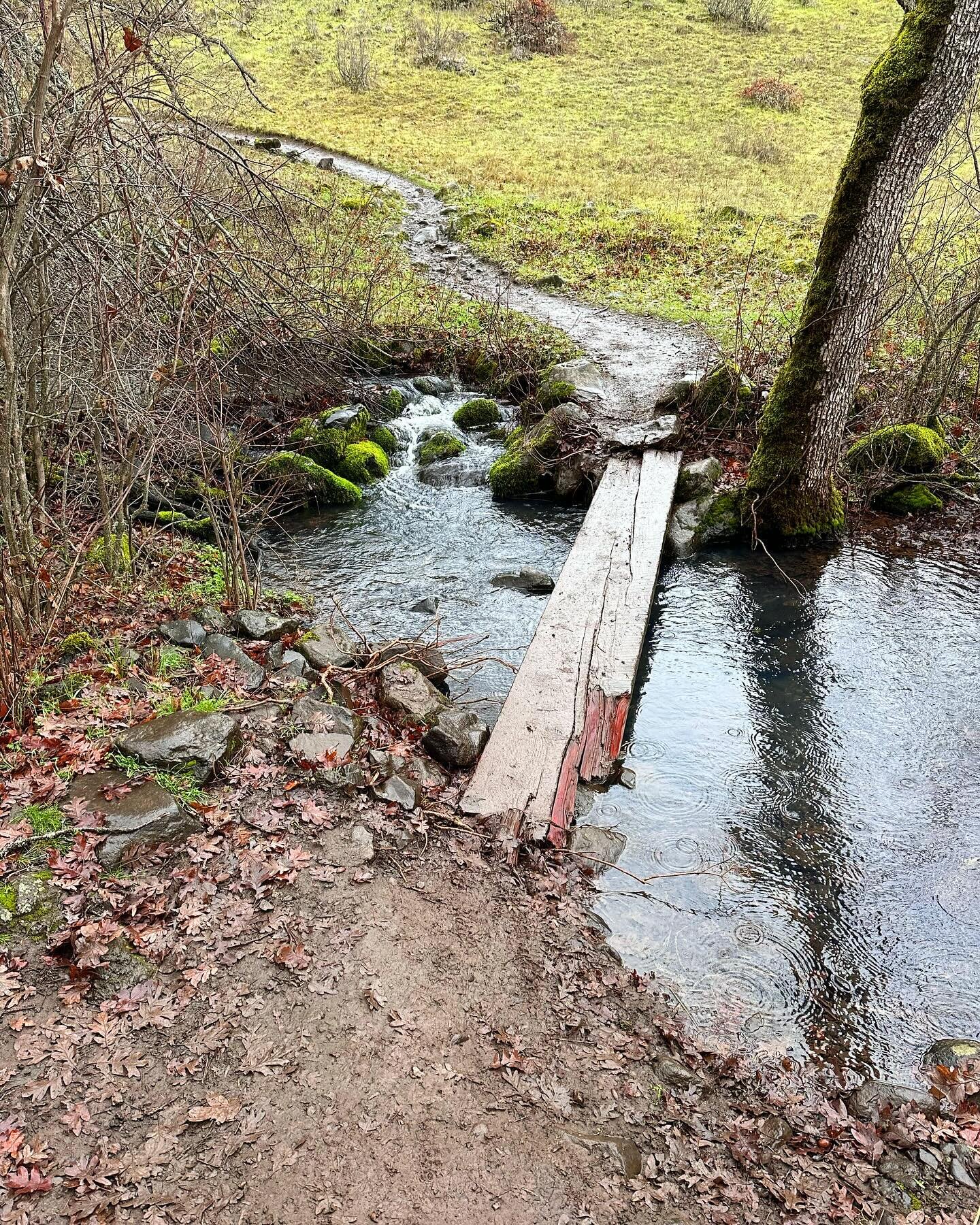 First hike of 2024. The Labyrinth is part of the Coyote Wall loop trail system just east of Bingen. It&rsquo;s a maze of trails winding through basalt rocks with canyons and waterfalls &hellip; very cool hike! Rainy and gray but the Columbia Gorge is