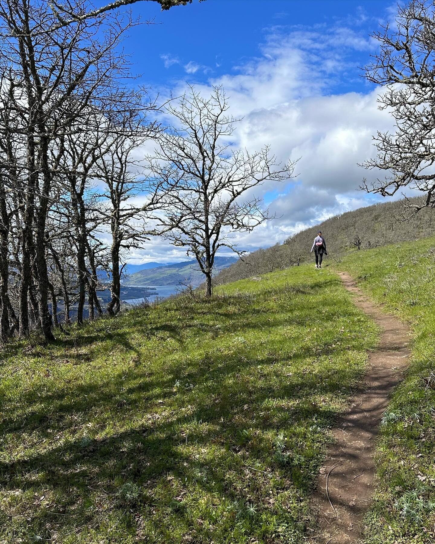 Spring hike on a sunny (and windy!) day in the Columbia Gorge. Wildflowers starting to pop, the balsam roots are on their way as are the oh-so-pretty shooting stars and the kinda fuzzy ballhead water leaf. It never gets old. Thanks to @gorgefriends f