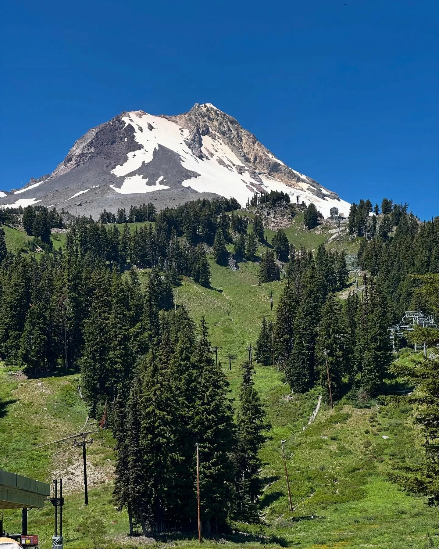 Umbrella Falls Trail &hellip;. Hot summer hike at Mt. Hood Meadows. Ace hiking buddy @lilasimm sitting on our lunch rock (yes I needed her help getting up there!). The trail goes under the chair lifts, fun to see the wildflowers cascading down the sk