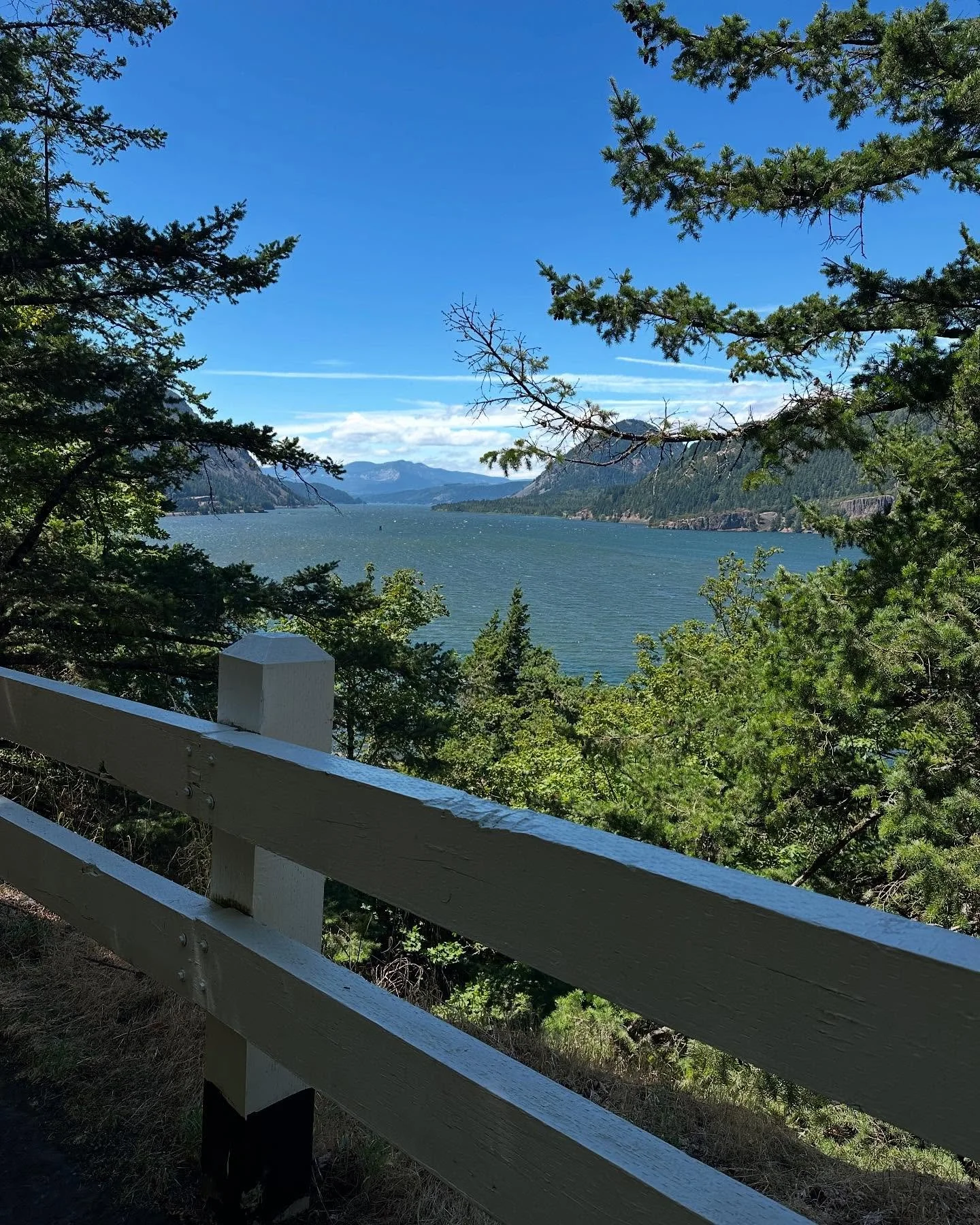 Such lovely views from the Starvation Creek Loop Trail in the Columbia Gorge. I was hoping to get to the bridge crossing the creek at the top but I left my poles in the car (🤪) and was more than a little leery of the slippery rocky part. 👵🏻 (the 4