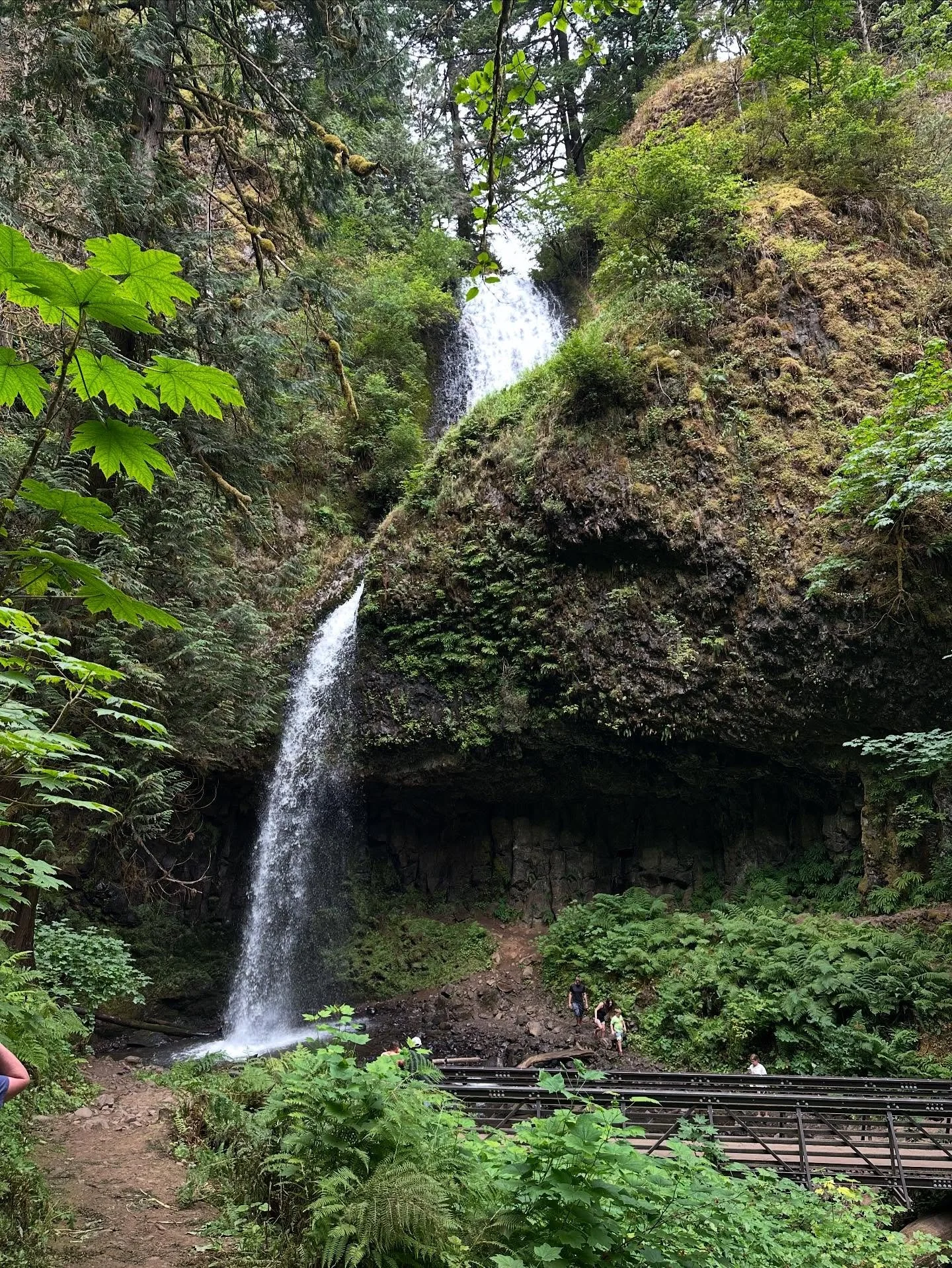 Afternoon hike to Latourelle Falls. I forgot how close the upper falls are, only a mile back through a densely wooded slot canyon, one of many on the Oregon side of the Columbia River Gorge. The trail back to the park (Guy Talbot, our favorite picnic
