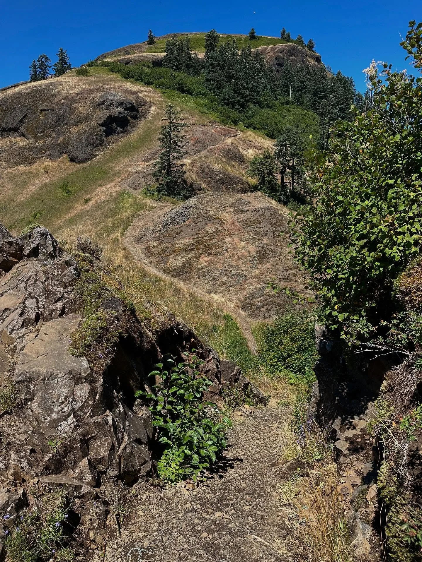 Well this was a challenge. For me, anyway. @lvkesimmons ran the trail, as much as he could, it got gnarly in spots. I struggled but made it to the top where we could see four mountains (not very clearly) and the ocean. Thankfully they&rsquo;ve added 