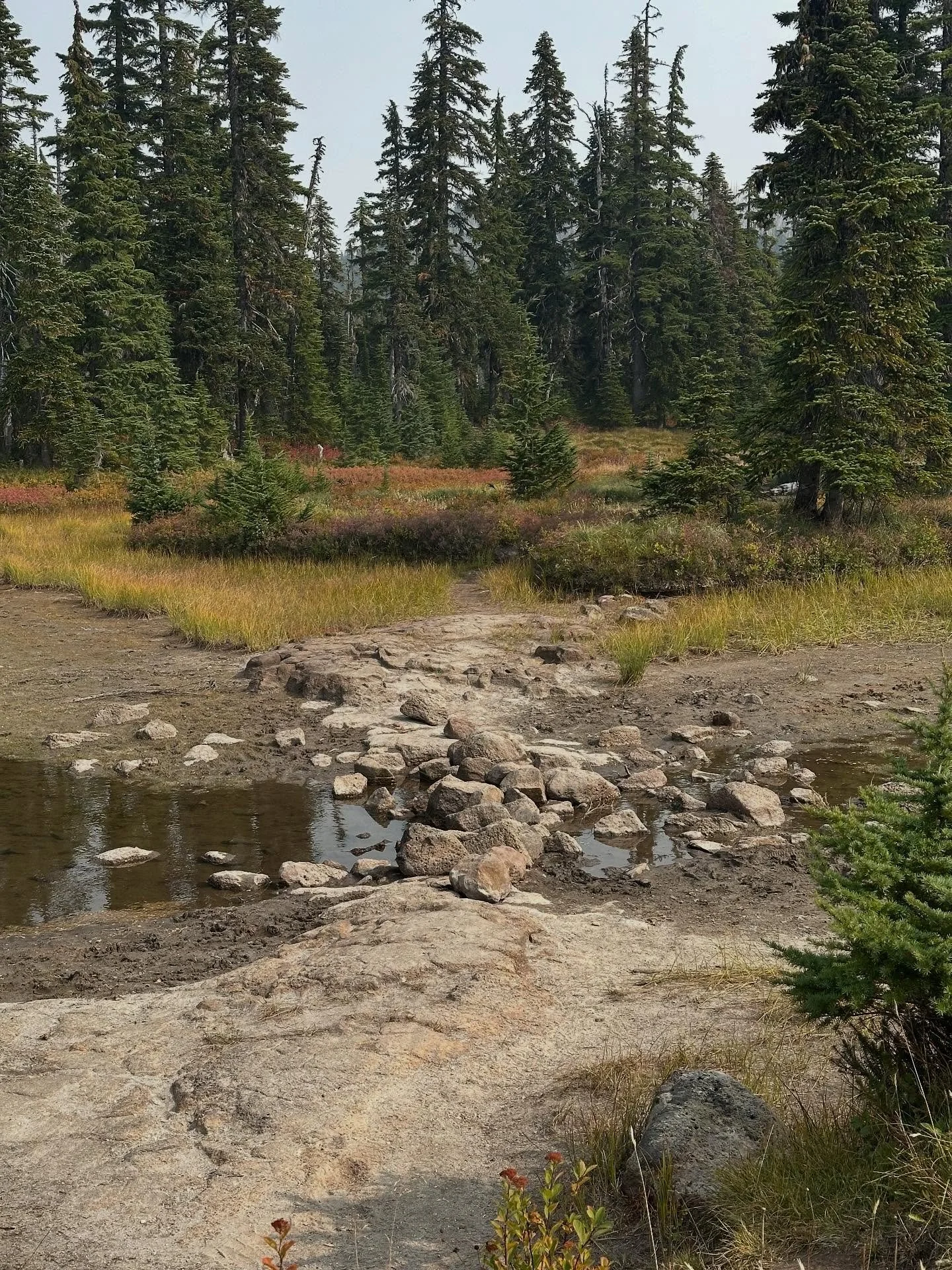 Favorite place on earth ~ the high meadows of Rock Lake in Indian Heaven Wilderness. This is the best time to go, the water is low enough that you can walk across the rocks. Sadly we missed the brilliant leaves of the blueberry bushes by a week. Shou