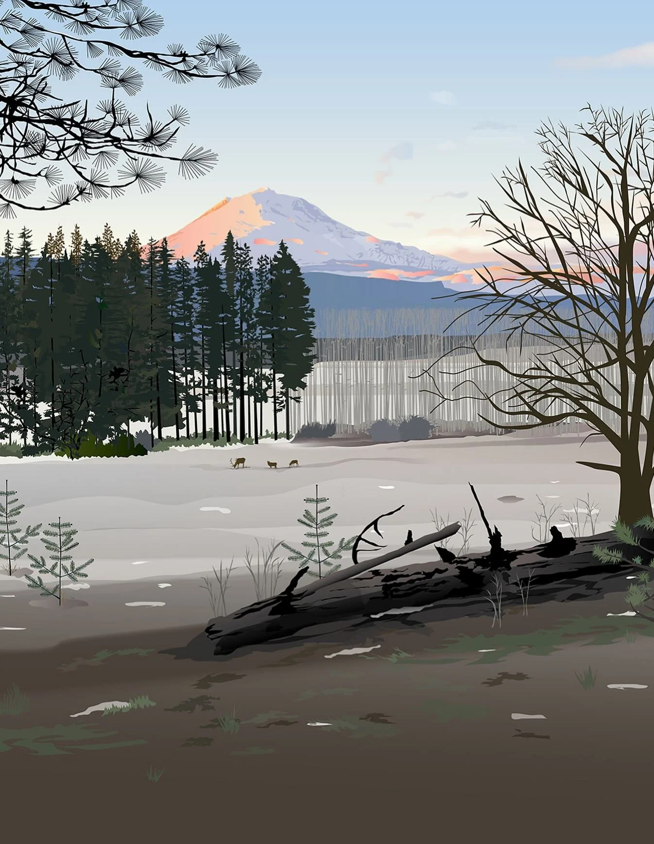 This is the January illustration for my 2026 Calendar: Alpenglow on Mt. Adams in southwest Washington. This might be my favorite! It&rsquo;s the south side, not far from Glenwood. A wintry scene without snow. 

Order info in MyURLs. 

#originalartwor