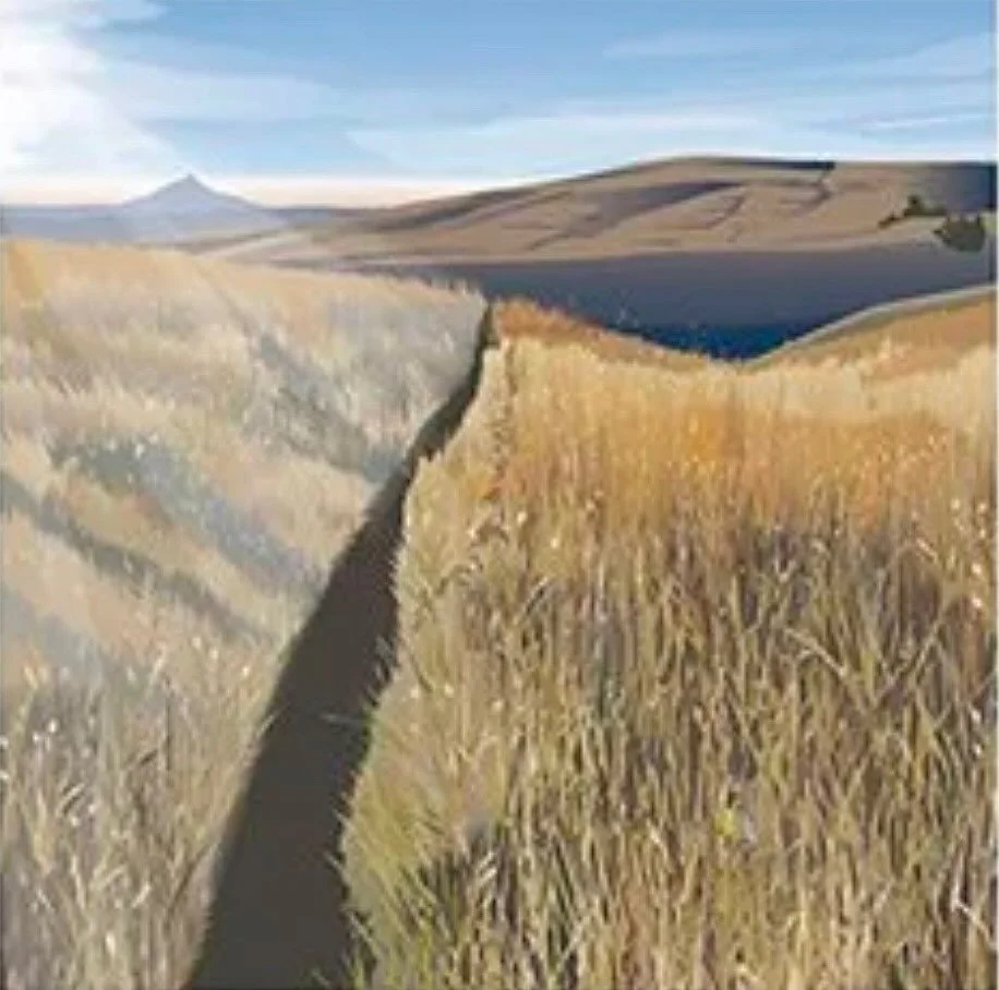 Here&rsquo;s the very cool illustration I did for the month of March in my 2026 Calendar. It&rsquo;s the Vista Loops Trail high above the Columbia River on the Washington side of the river in Columbia Hills Historical State Park. Love the grasses! Th