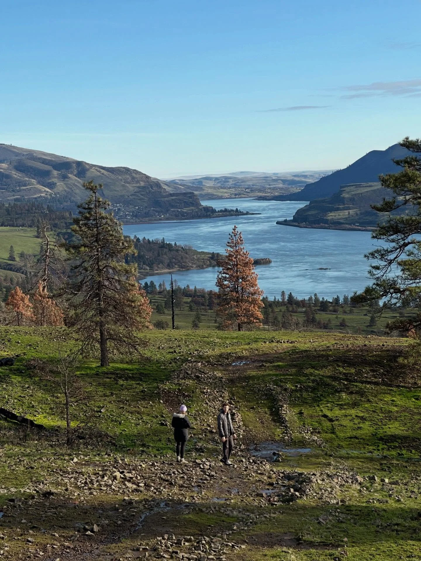 Last hike of the year, so nice to have our runner boy @lvkesimmons home to accompany favorite daughter @lilasimm and me. And of course he took advantage of the wide open trail. The wildfire damage at Catherine Creek doesn&rsquo;t look too bad, they c