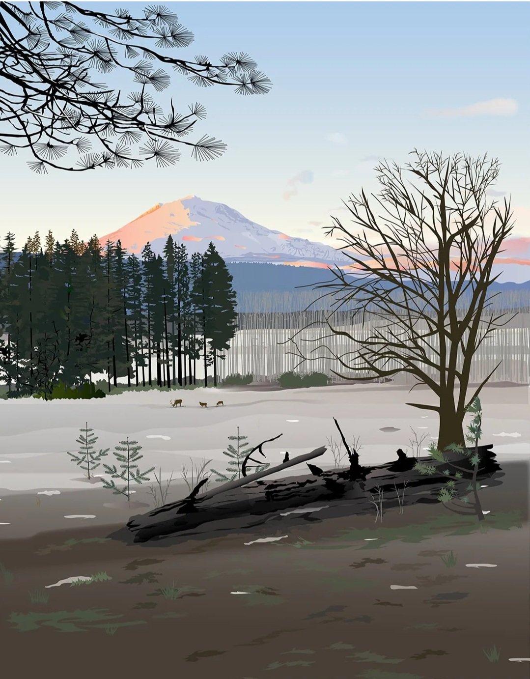 Alpenglow on Mt Adams