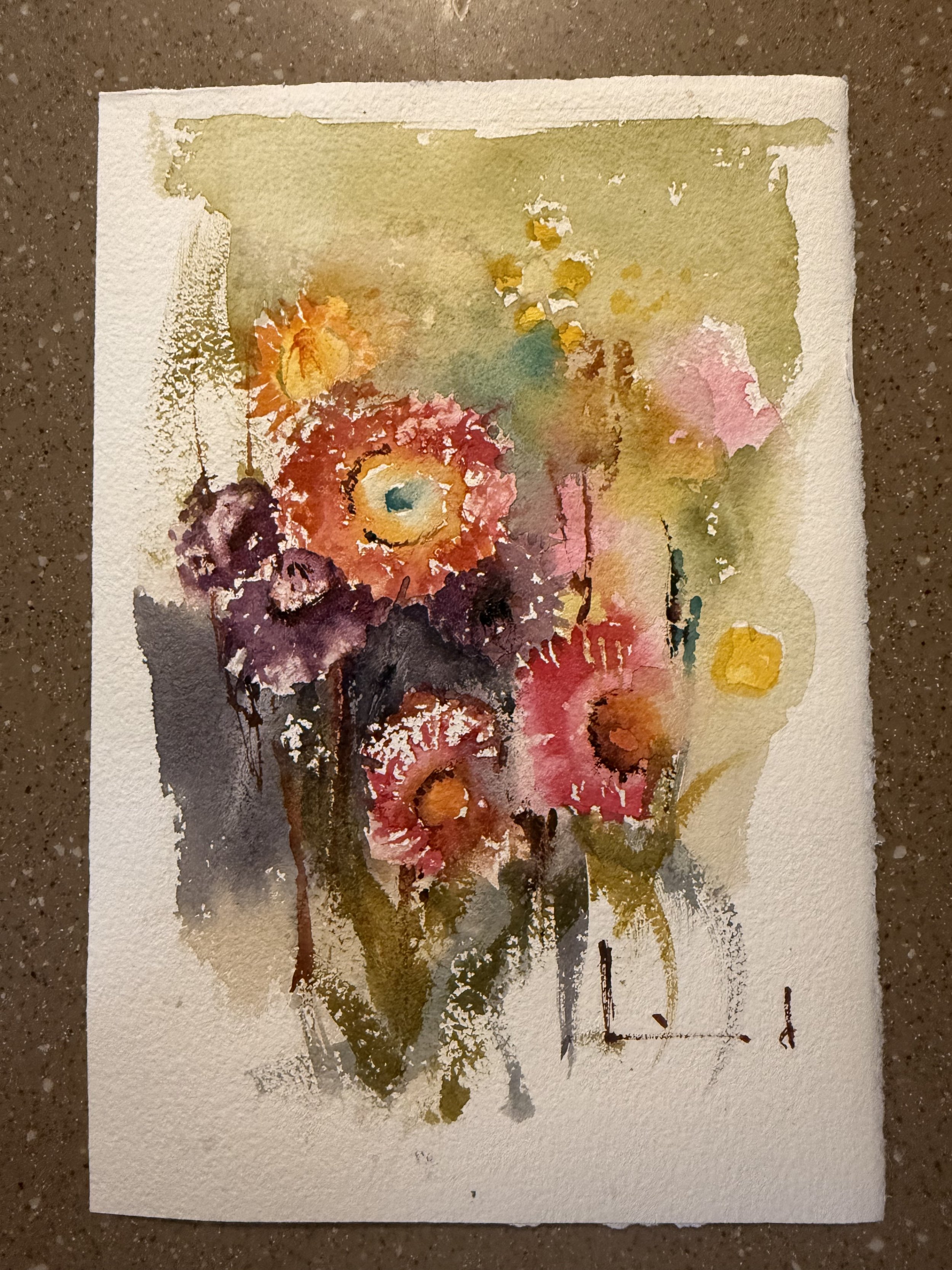 Strawflower Practice Session