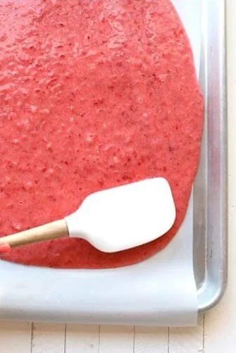 fruit-leather-685x1024  xfc.jpeg