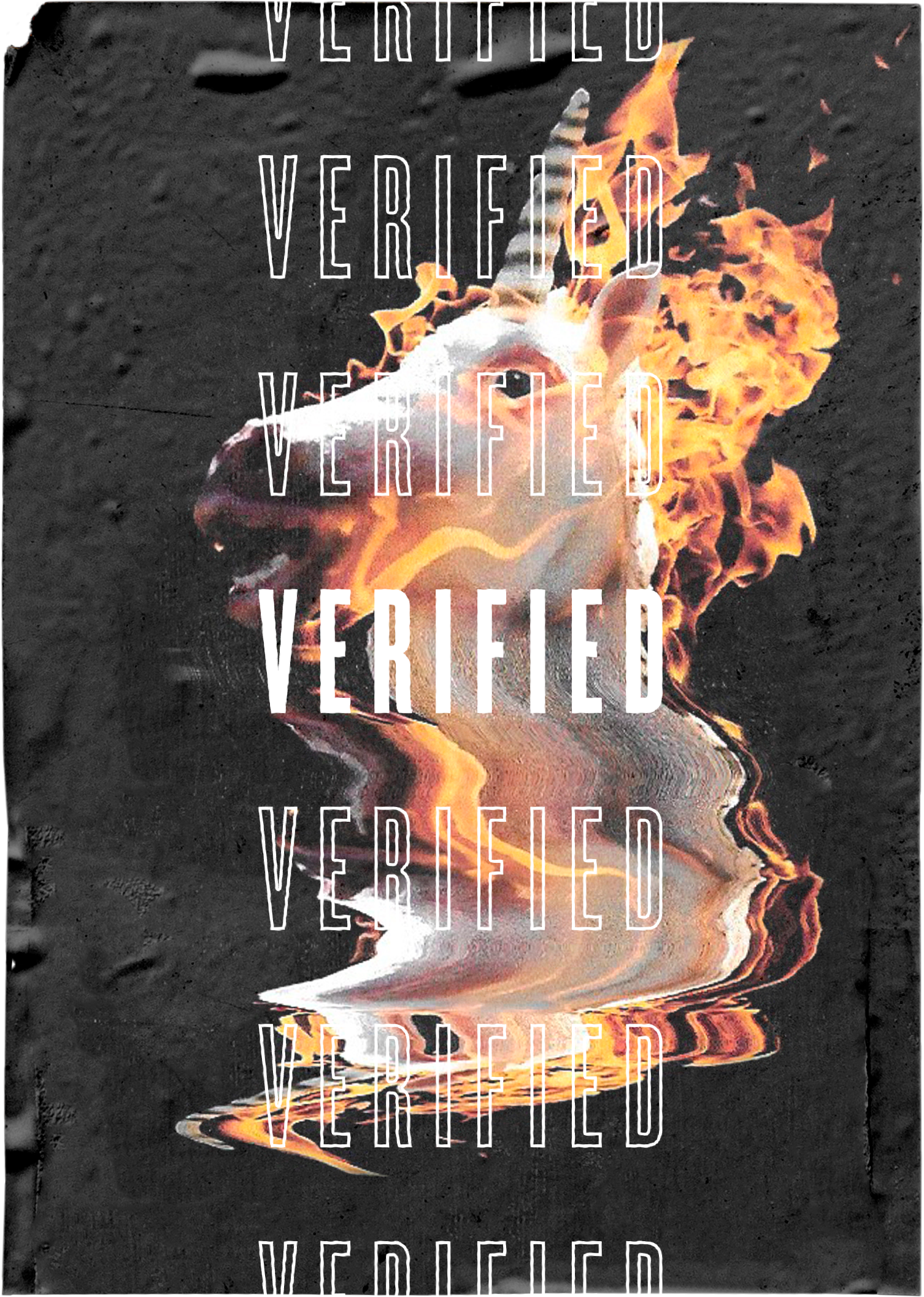 Verified Scout Launch Graphic
