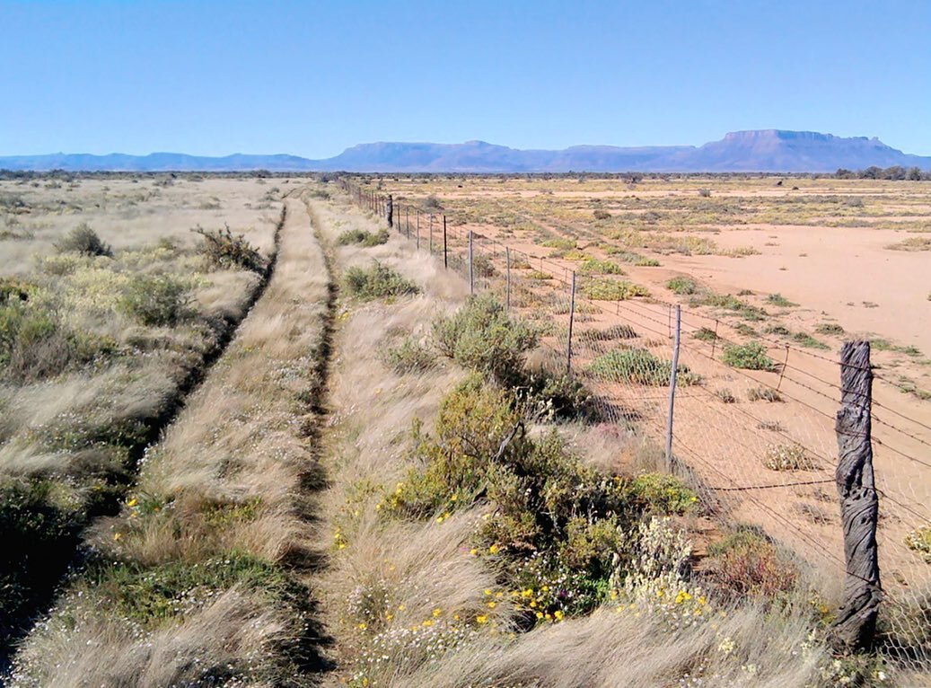 Did you know that grasslands cover 40% of the earth&rsquo;s land surface?&nbsp;&nbsp;

Healing our grasslands is crucial in the global effort to heal the planet from the devastating effects of climate change. Their inherent ability to store more carb