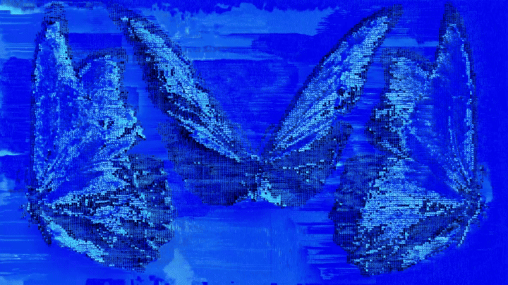 butterfly_v009_h264_0000-0106_960x540.gif