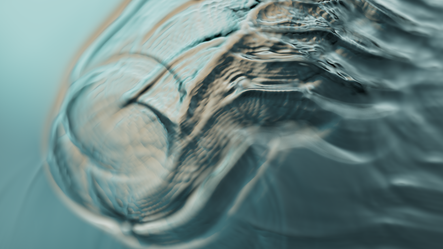 LEP_SYD2417_DESIGN_ripples_AN_v007-1536x864.png
