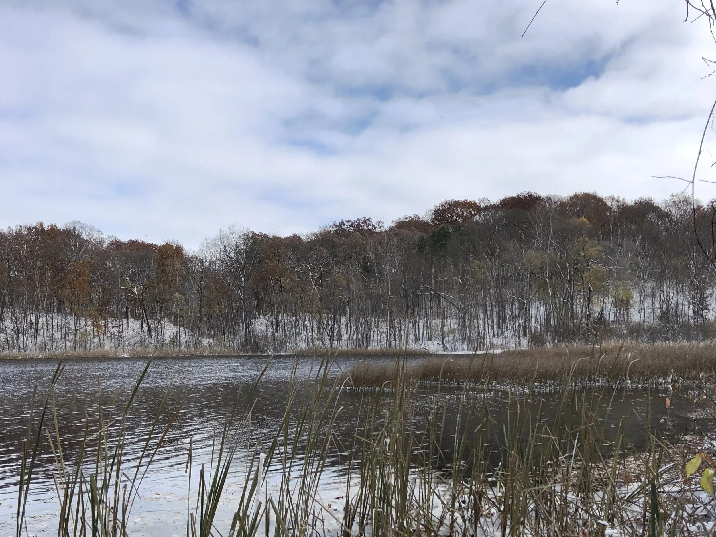 CLIENT:  Kalamazoo Stadium-Drake Initiative.   CONTEXT:  Citizens and organizations concerned over potential development of the land bounded by Stadium Drive, Drake Road, and Asylum Lake Preserve came together to develop options focused on environmen