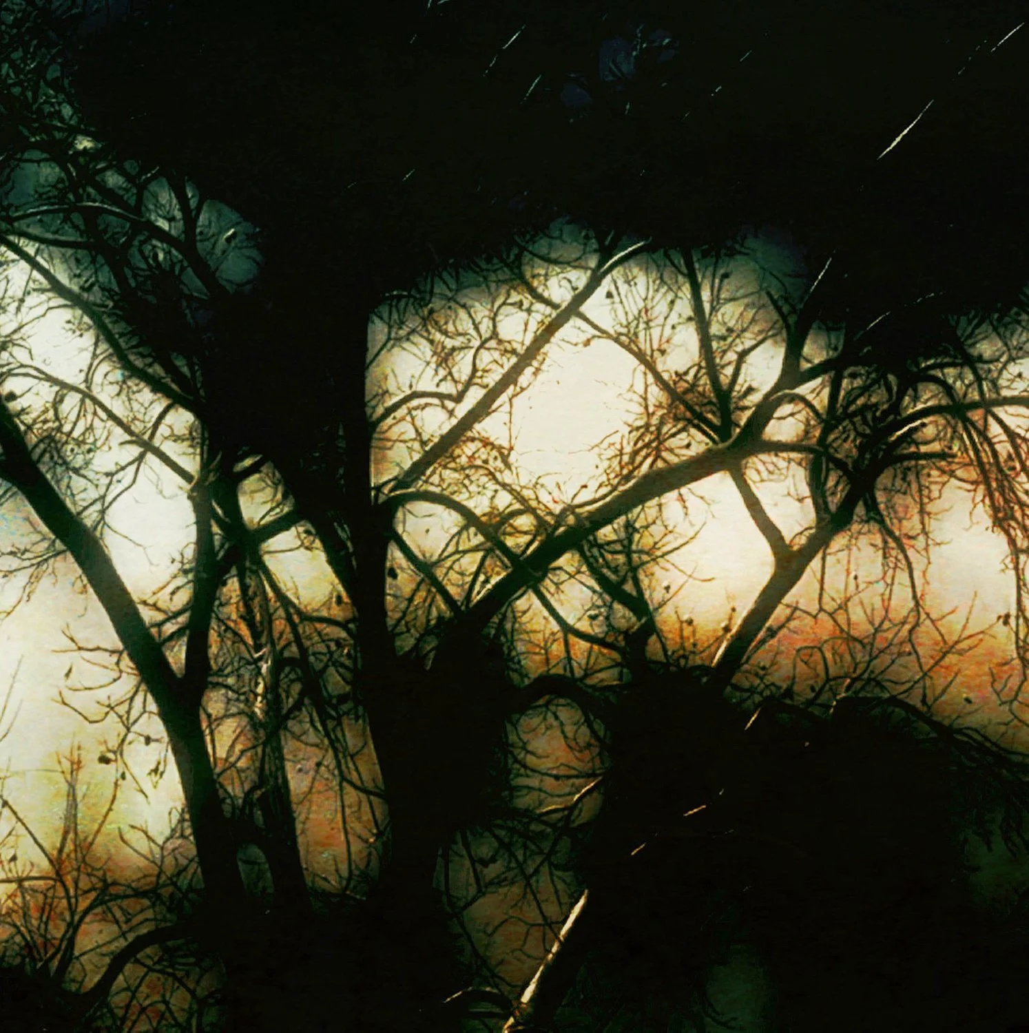 "November the Sixteenth" 12X12 inches $300 Limited Edition of 1