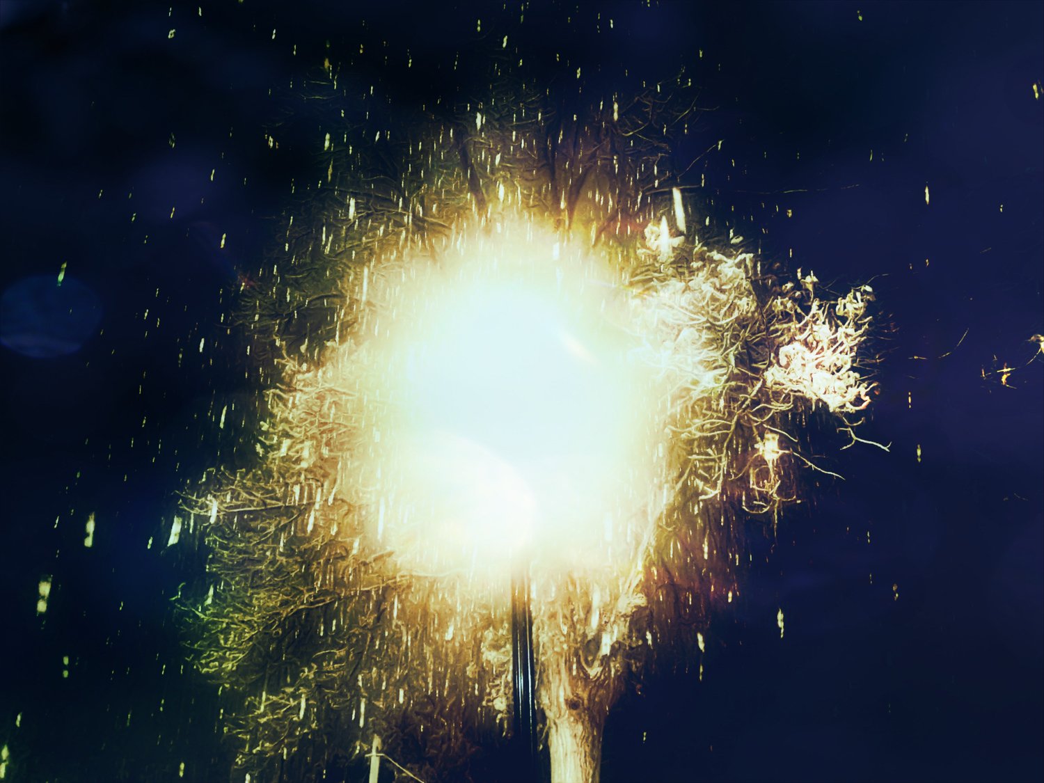 "November the Tenth" 9X12 inches $300 Limited Edition of 1