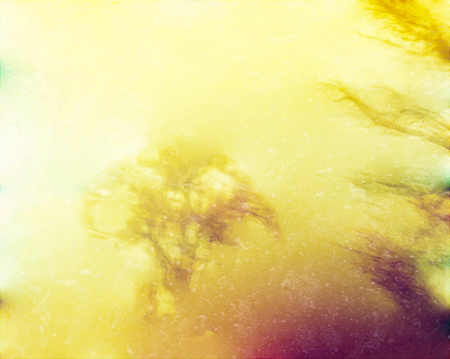 November the Thirteenth 9.5X12 inches  $300 Limited Edition of 1