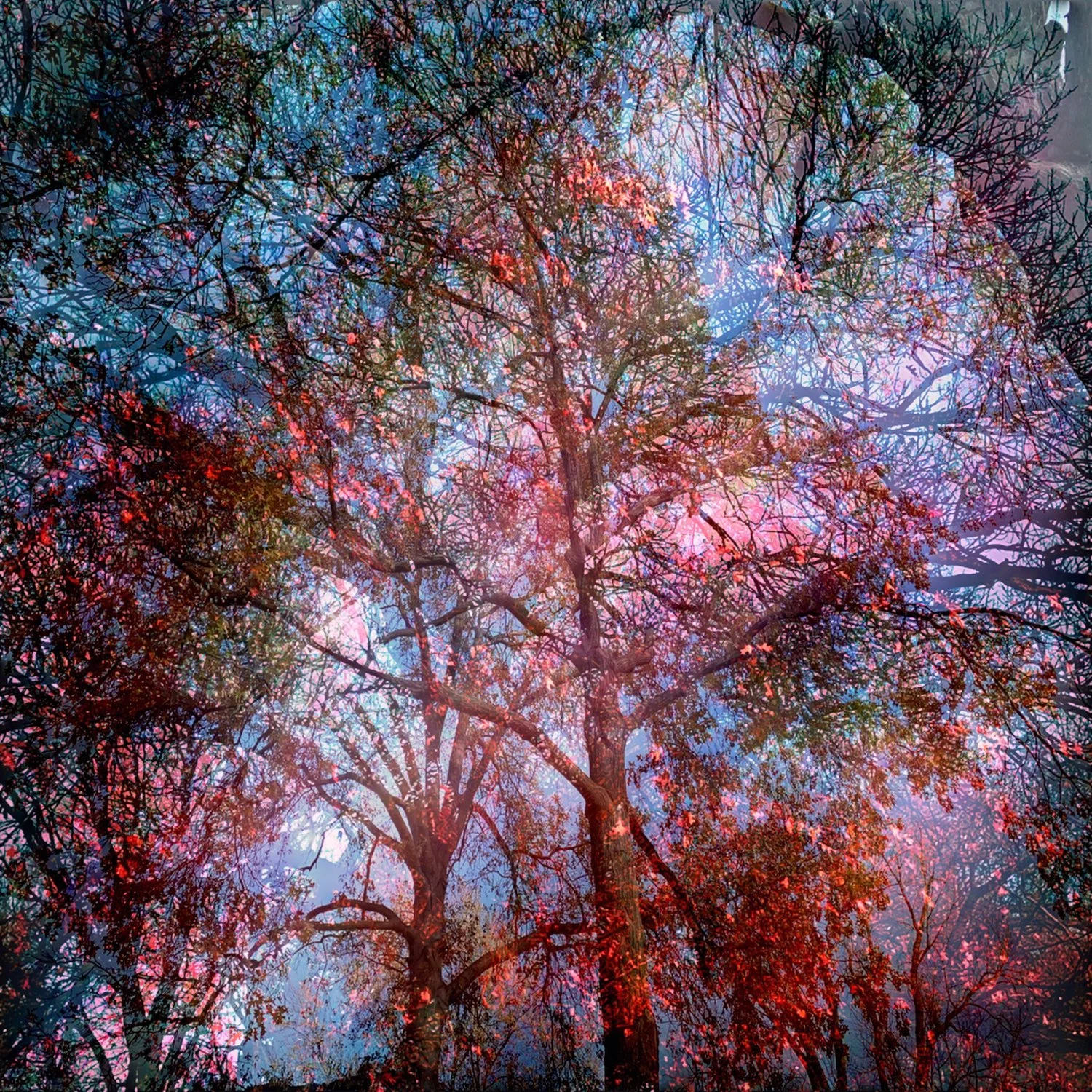 "November the Twenty-seventh" 12X12 inches $300 Limited Edition of 1