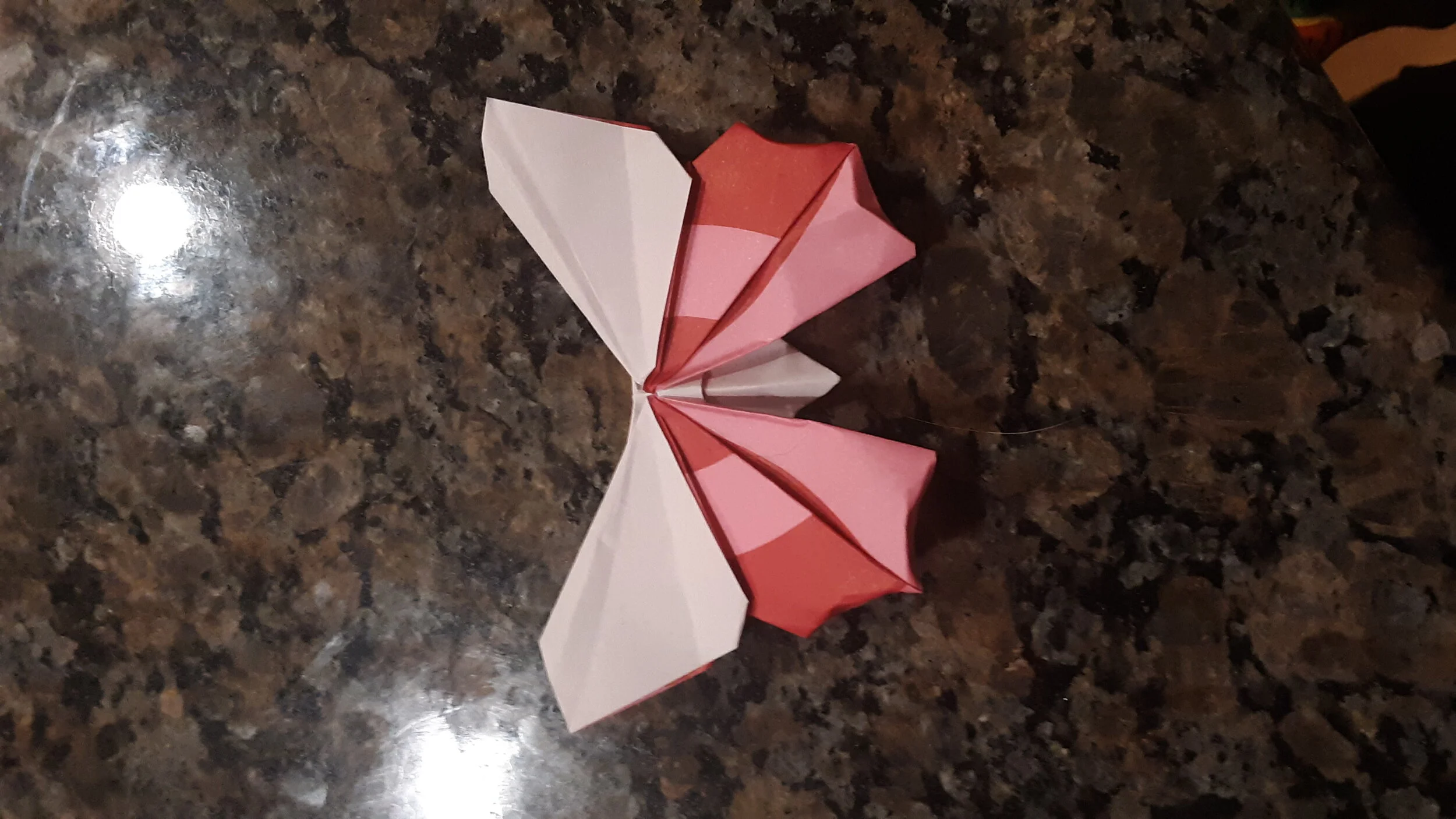 The Question mark butterfly