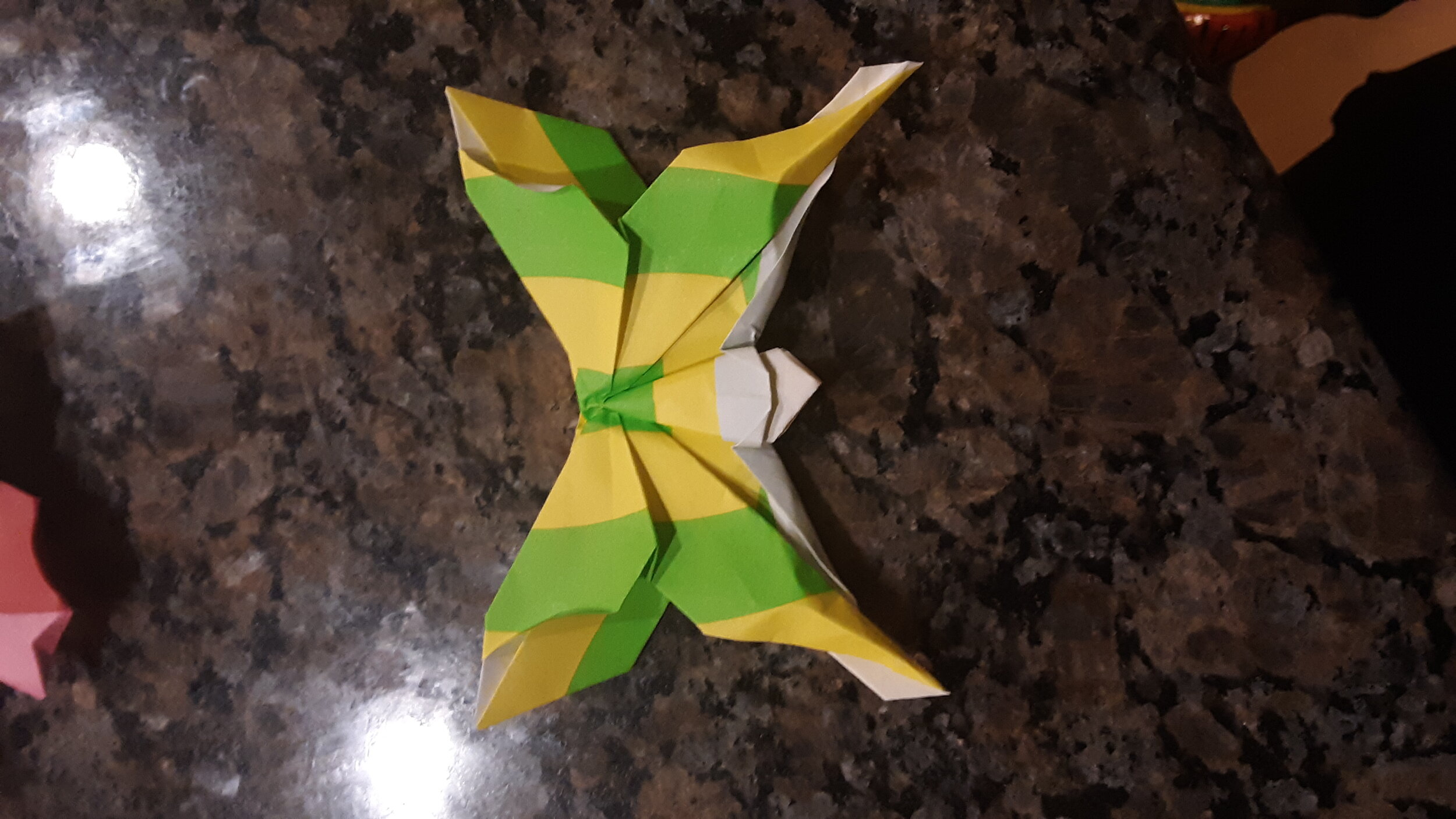 Luna Moth