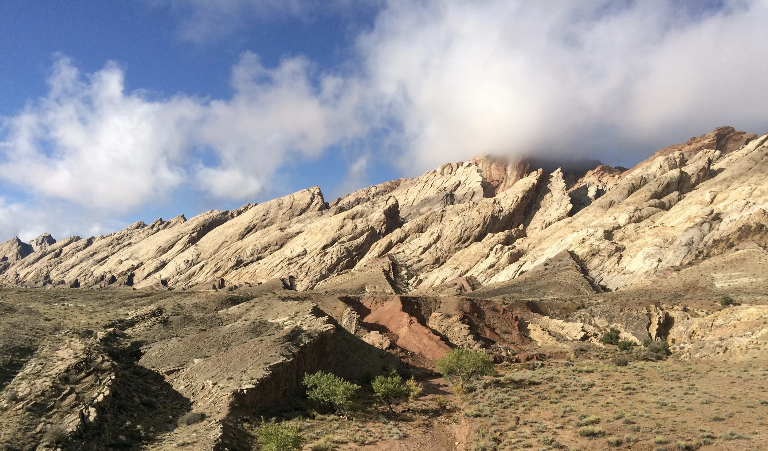Washington Friends of Wild Utah