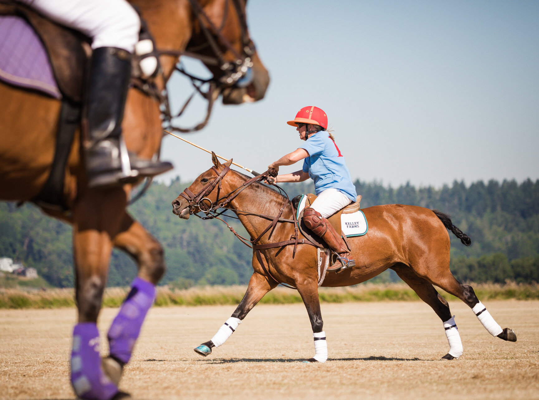 20210627_Kya-Photography-Equestrian-Photographer-Bend-Oregon_0027.jpg