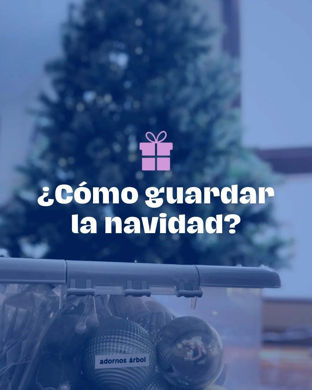 Pas&oacute; bajada de reyes, as&iacute; que la cuenta regresiva para guardar la Navidad empez&oacute;. Antes que la flojera te gane y termines con pap&aacute; Noel en la sala todo el a&ntilde;o, revisa estos pasos 👌🏻

Navidad organizada, Diciembre 