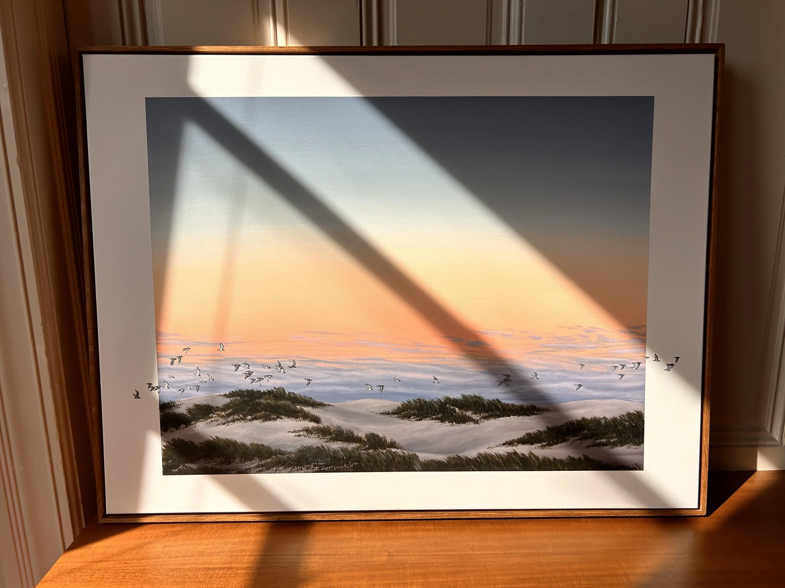 Last Light in Angled Light on the Desk.jpg