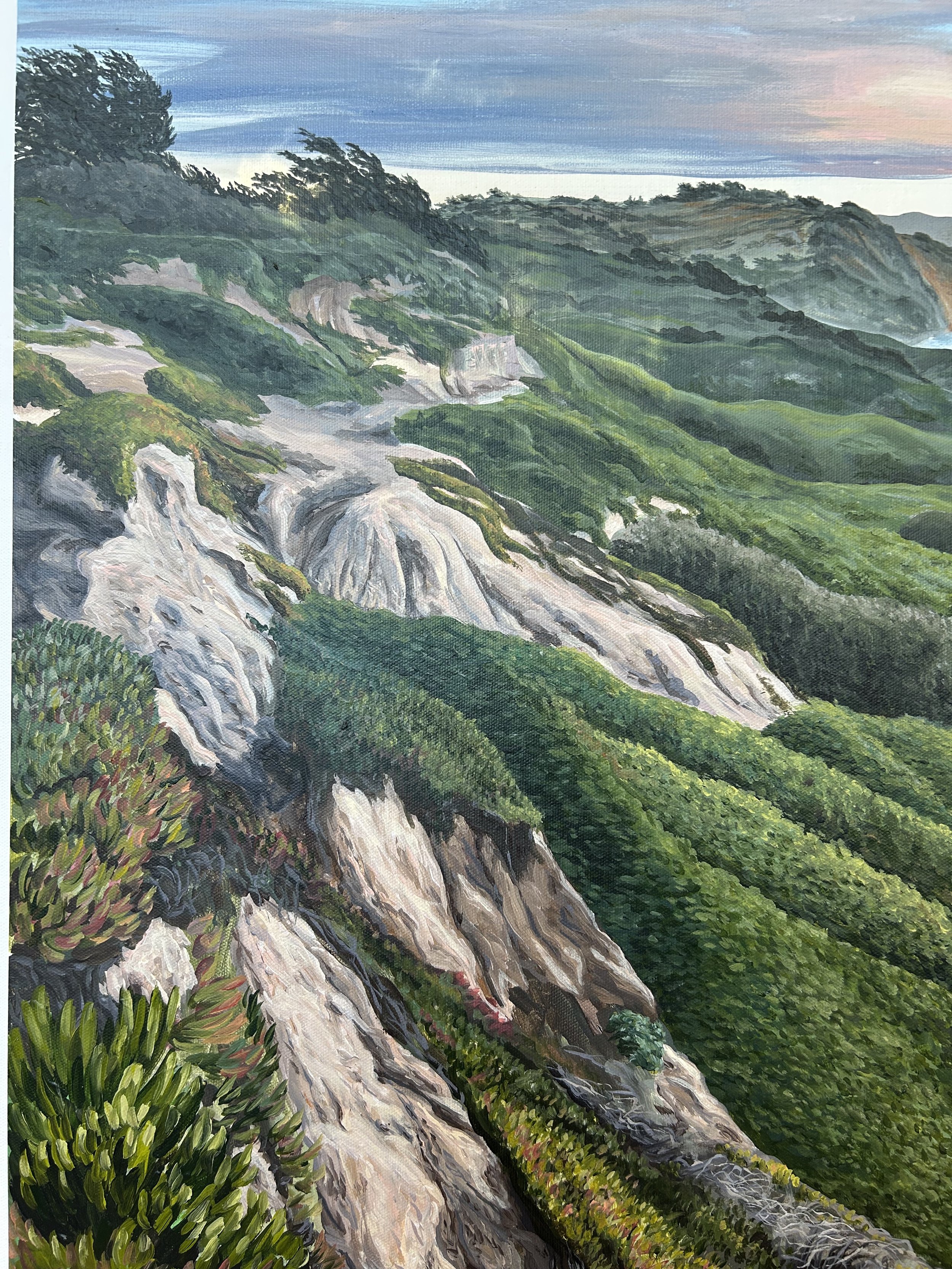 Fort Funston Detail 3.jpg