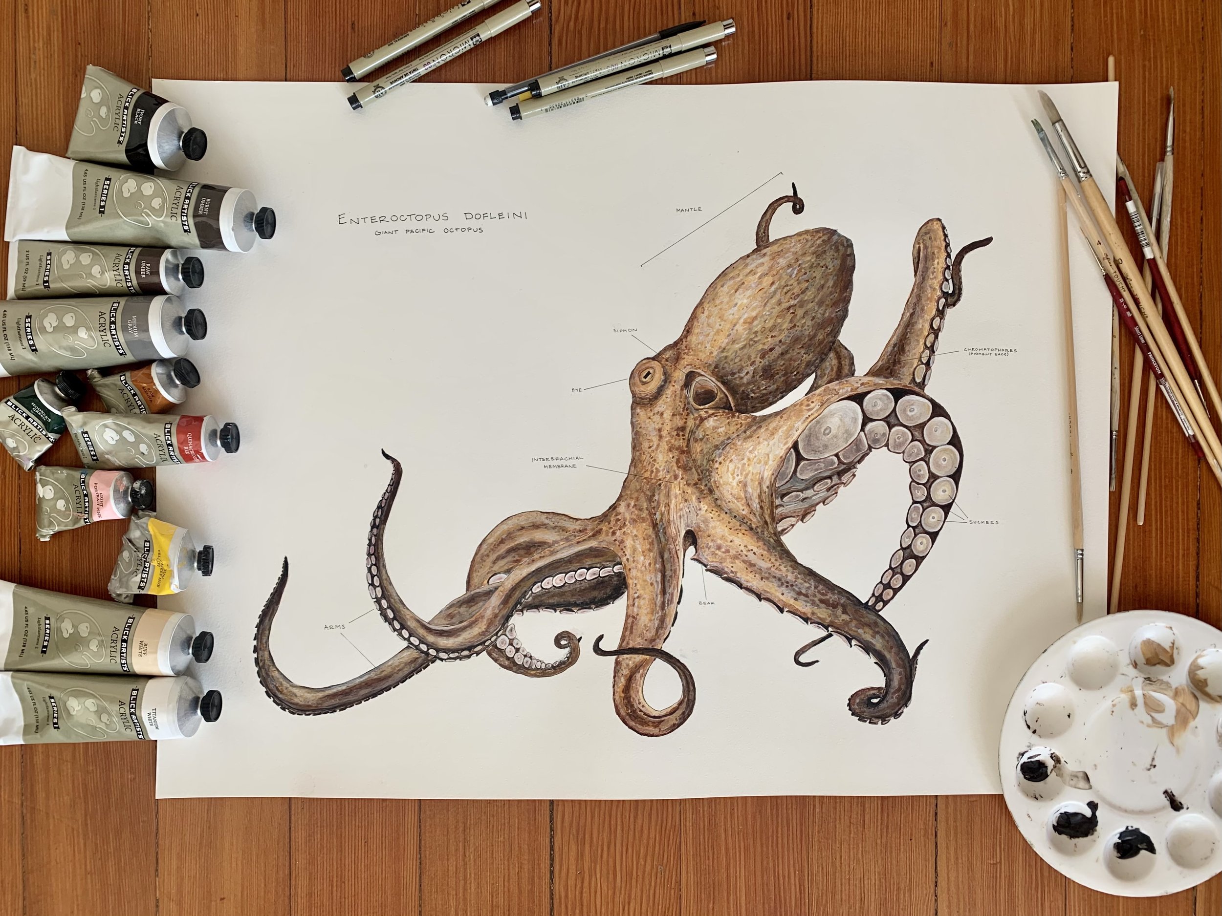 Octopus Flat Lay.jpg
