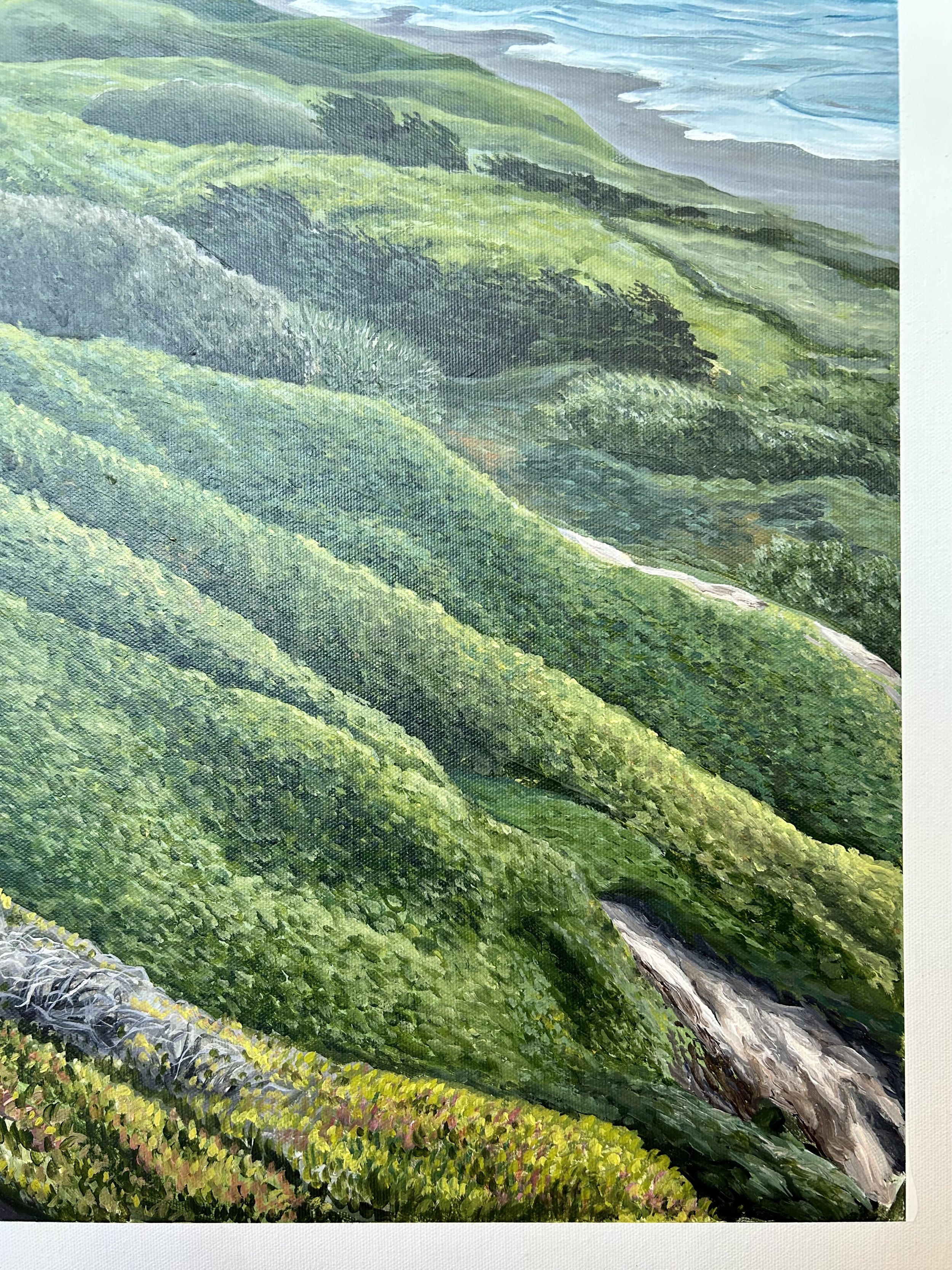 Fort Funston Detail 2.jpg