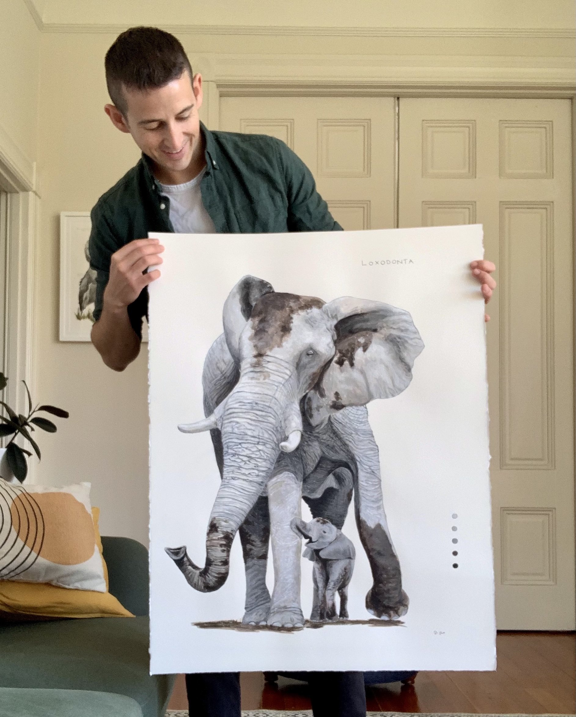 African Elephant Field Journal Environmental Shot.jpg