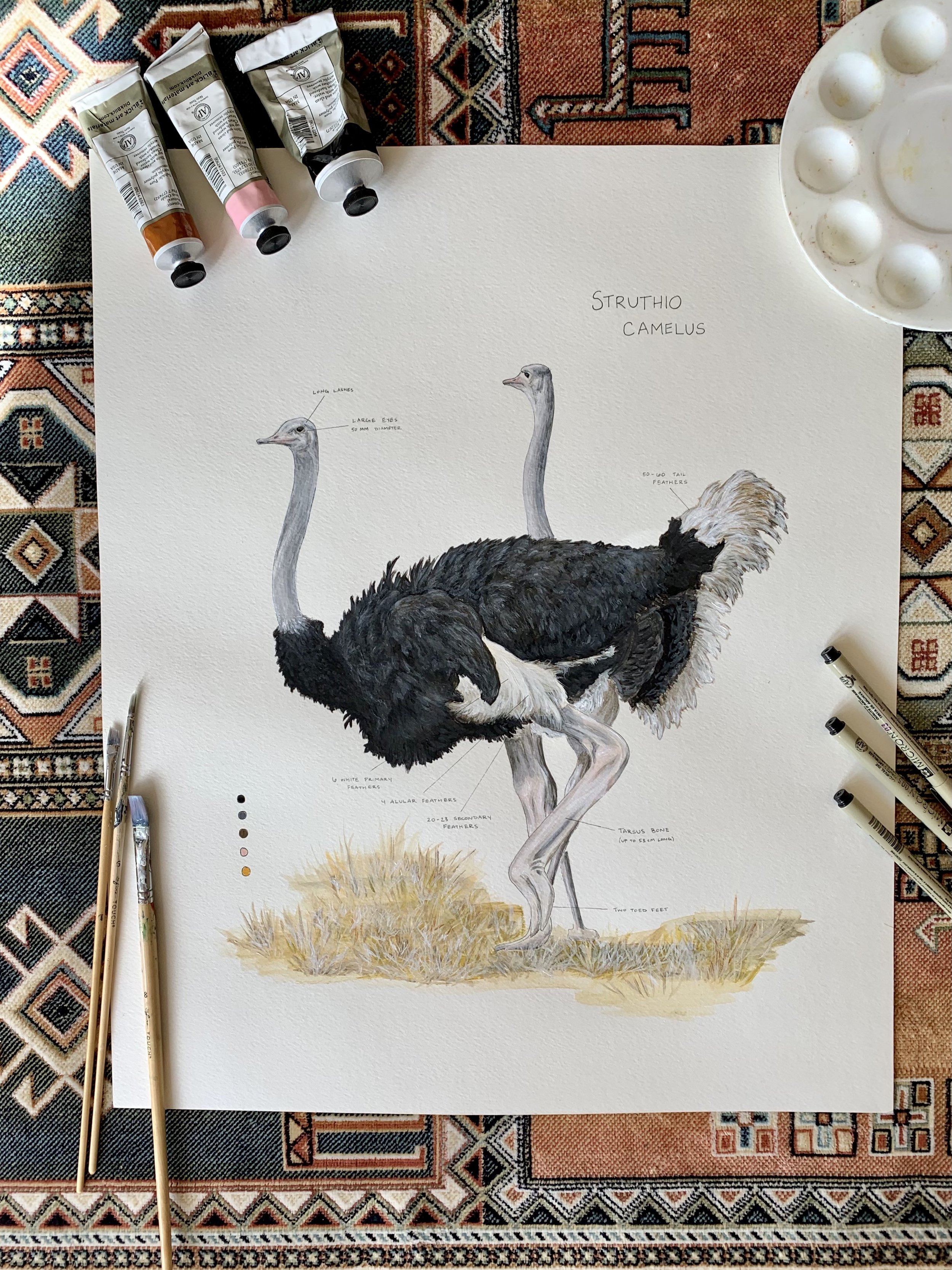 Ostrich Flat Lay.jpg