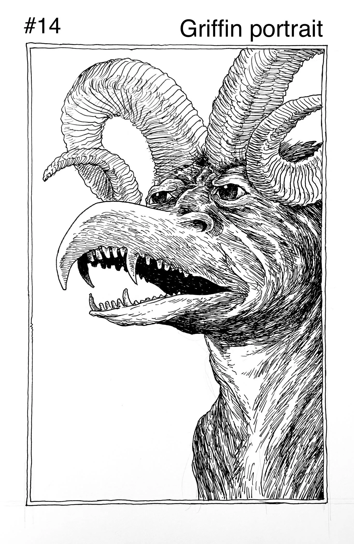 14 Griffin Portriat.jpg