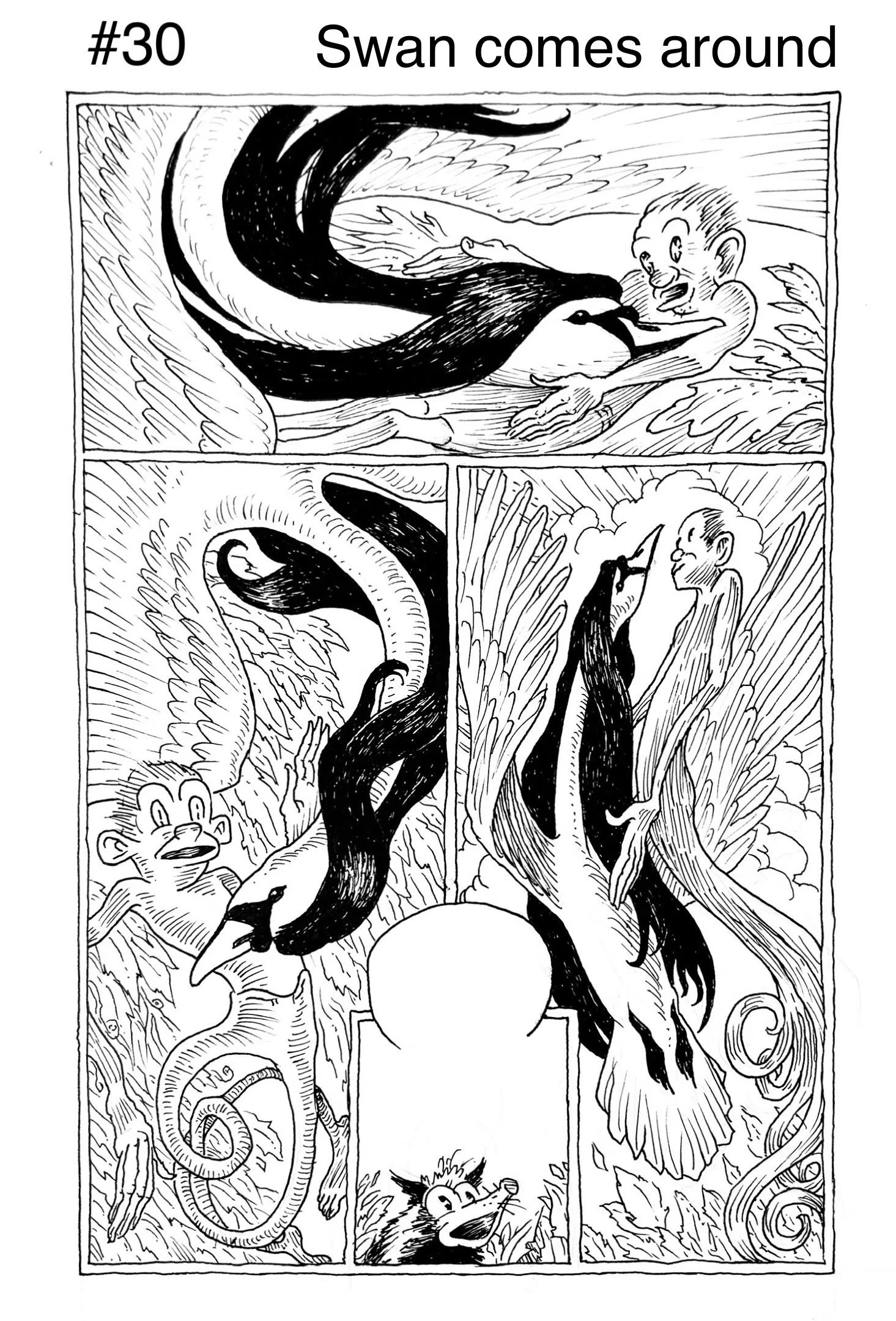 30 Swan Comes Around.jpg