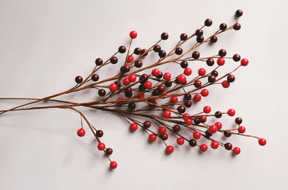 Advent – our only hope