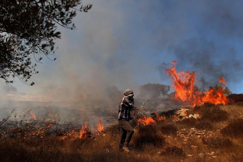 IOF fires gas canisters into olive field 