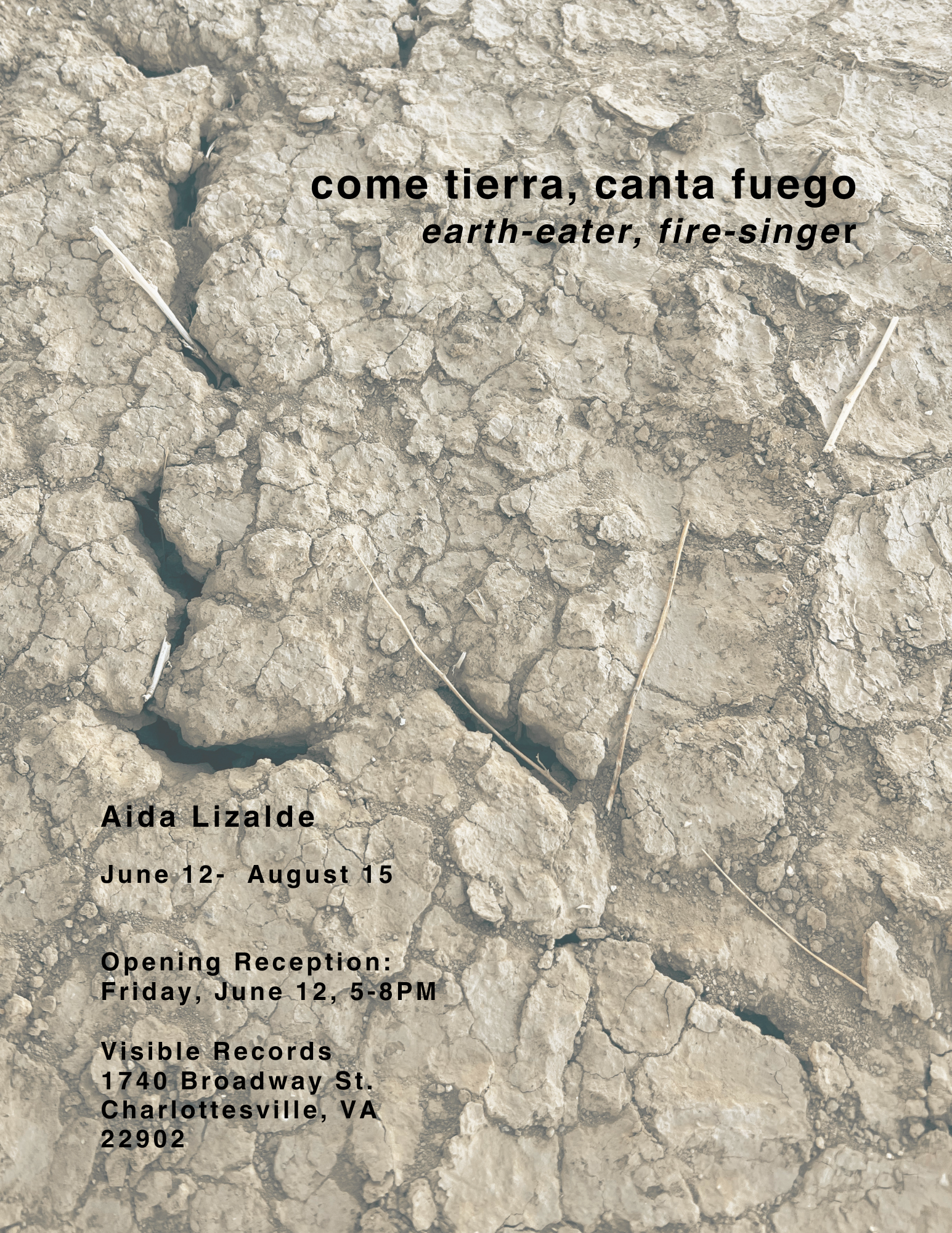 come tierra, canta fuego Opening Reception