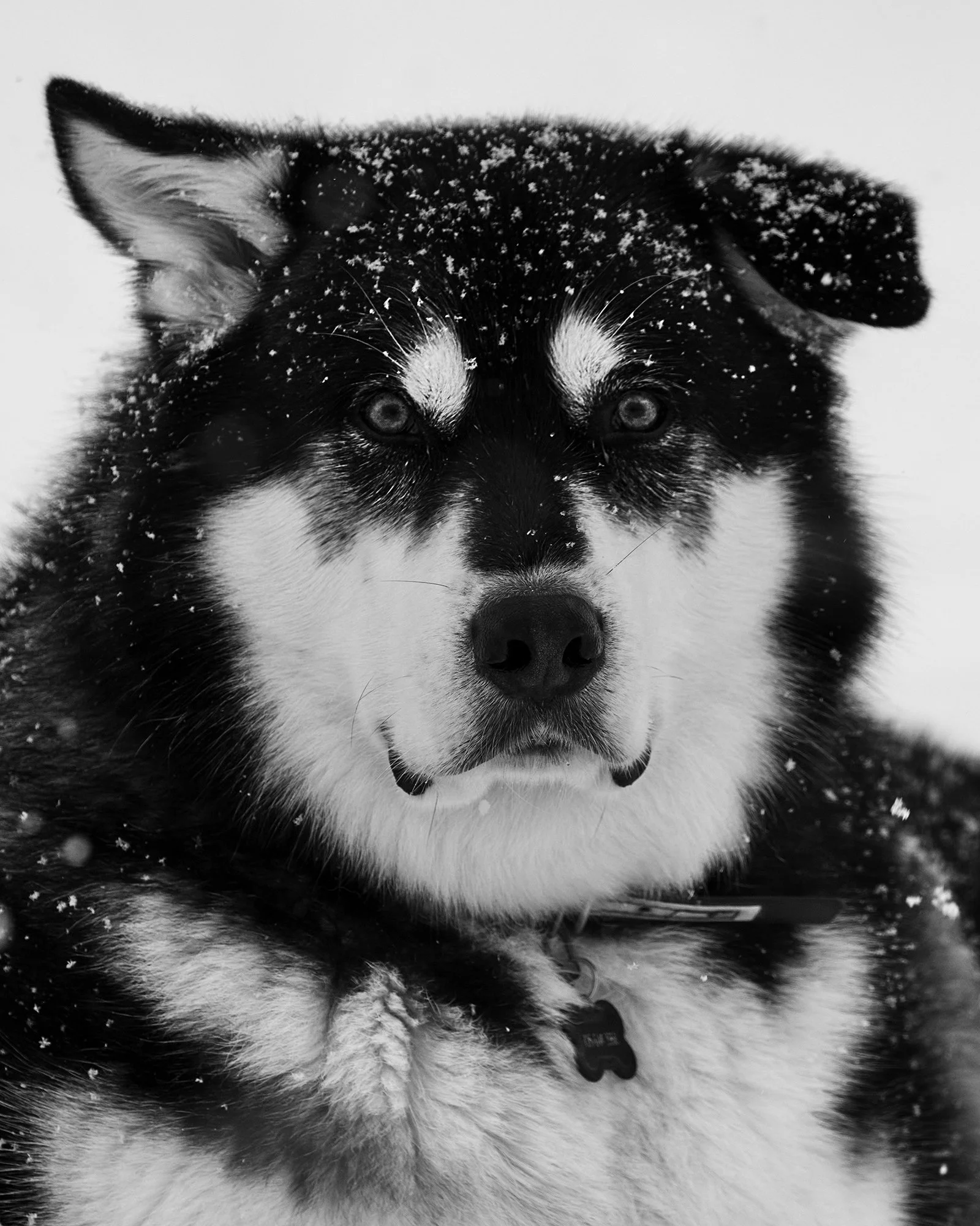 ColinErricsonPhoto  - 007.jpg