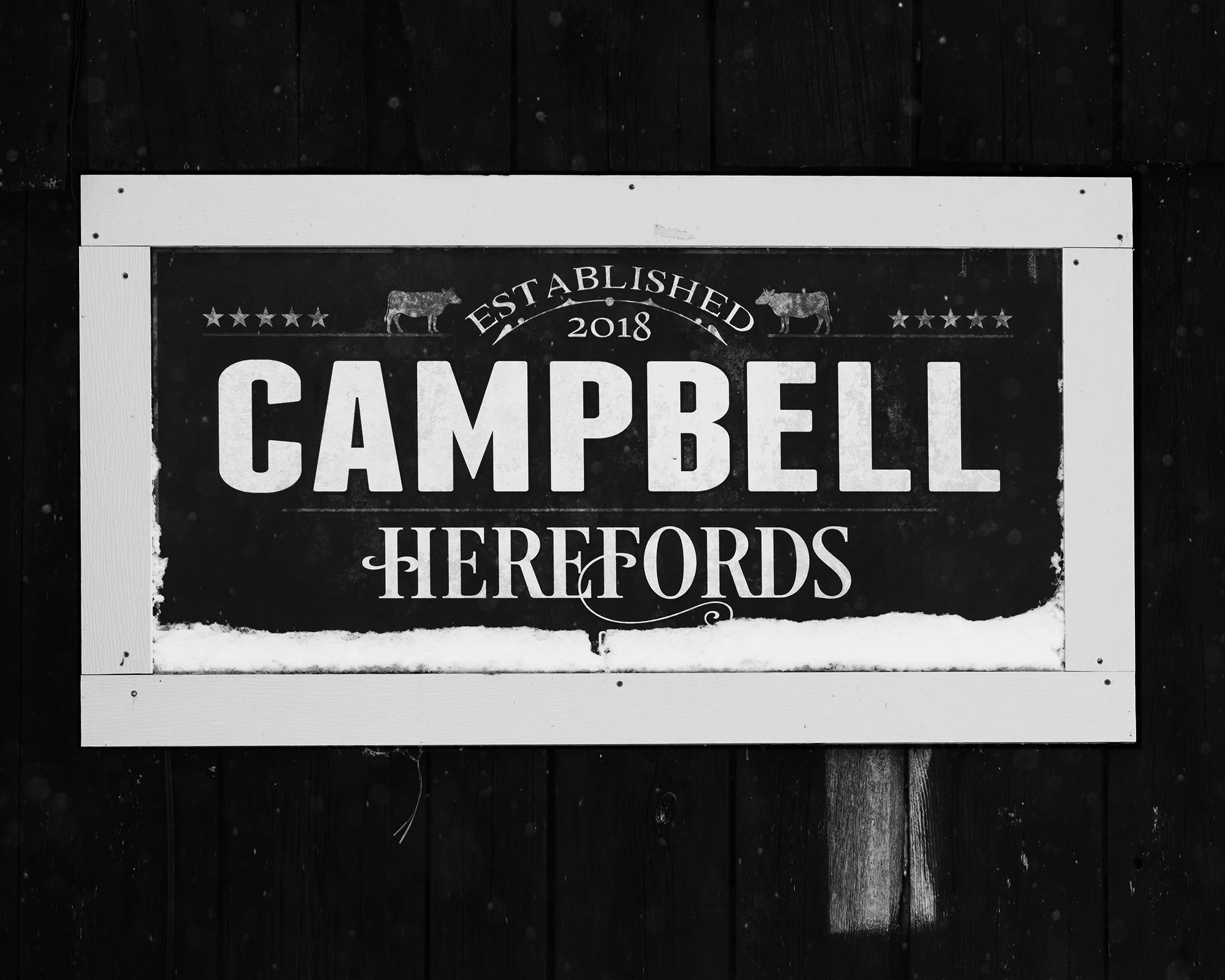 ColinErricsonPhoto  - 134.jpg