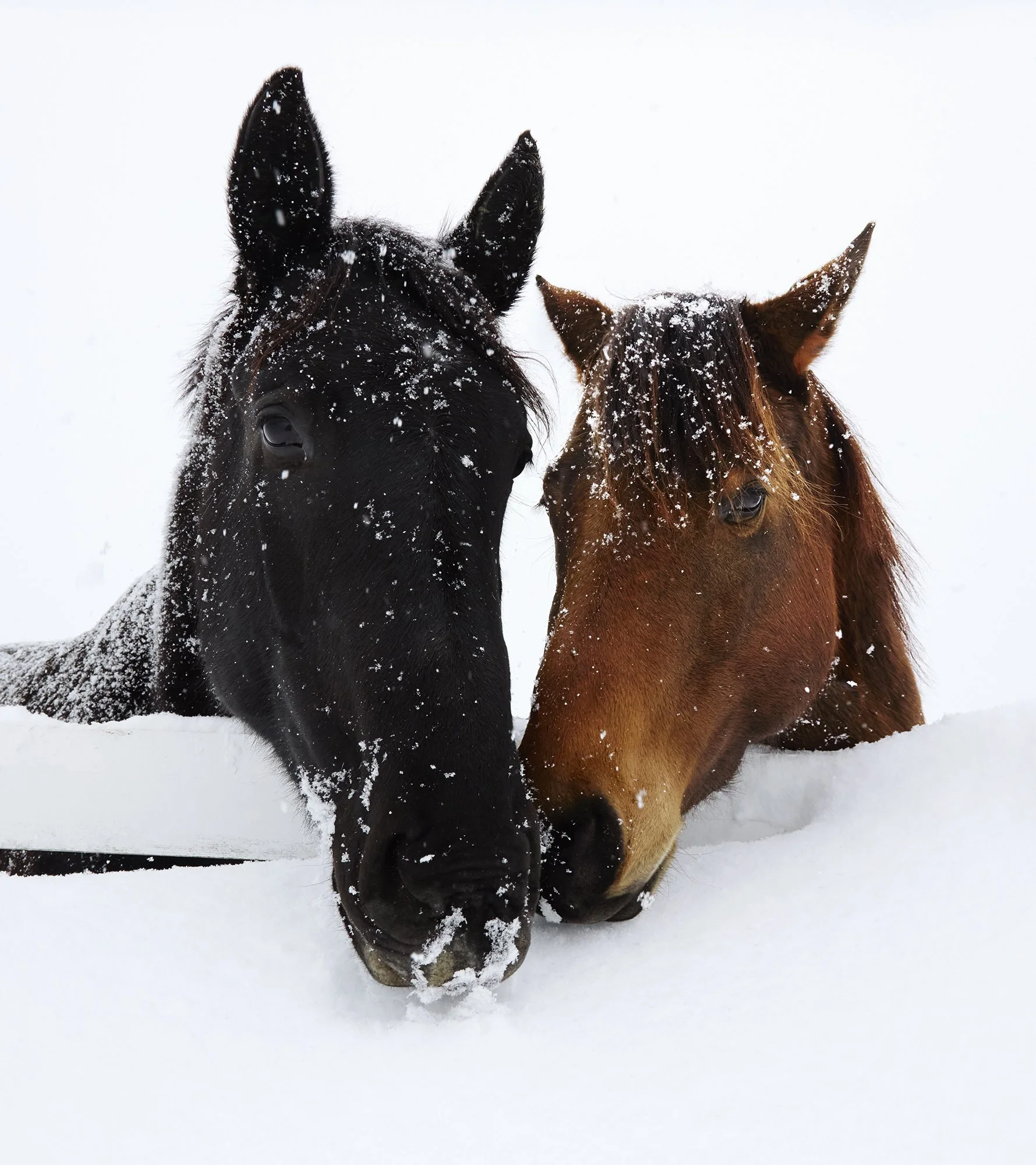 ColinErricsonPhoto  - 077.jpg