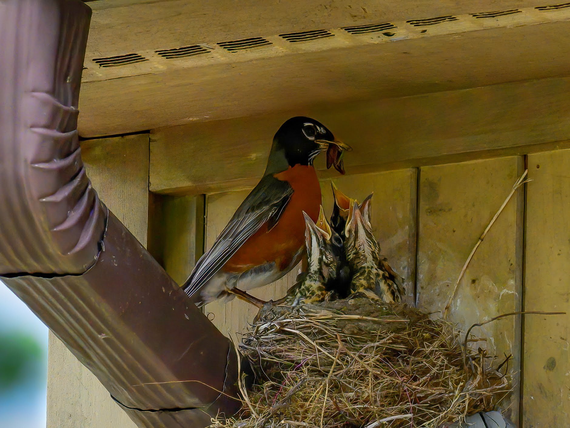 Feeding the Family