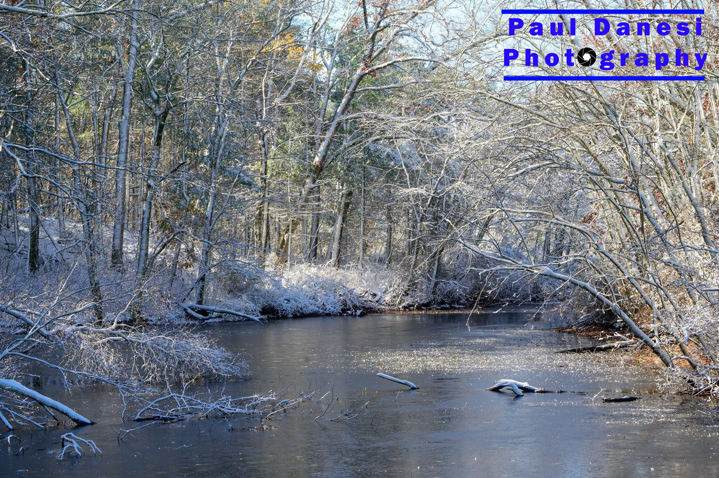 Winter Water Scene