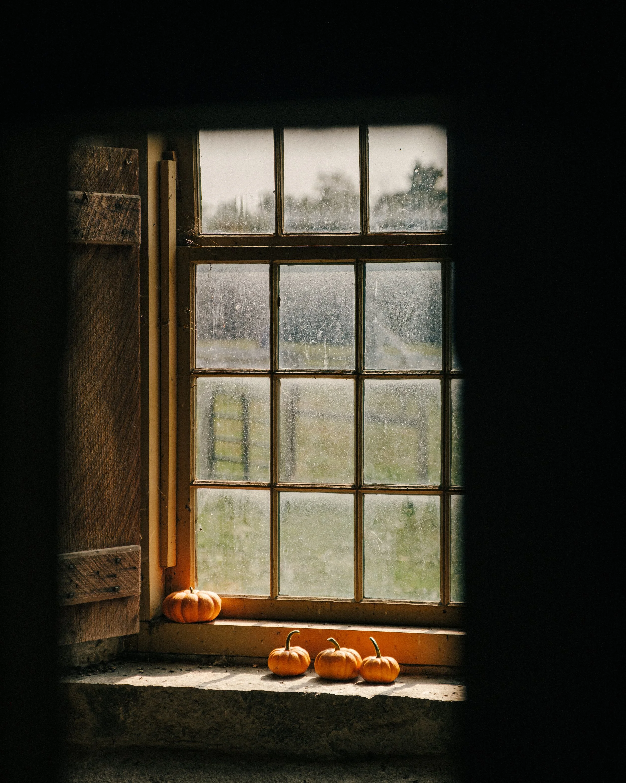 pumpkin season