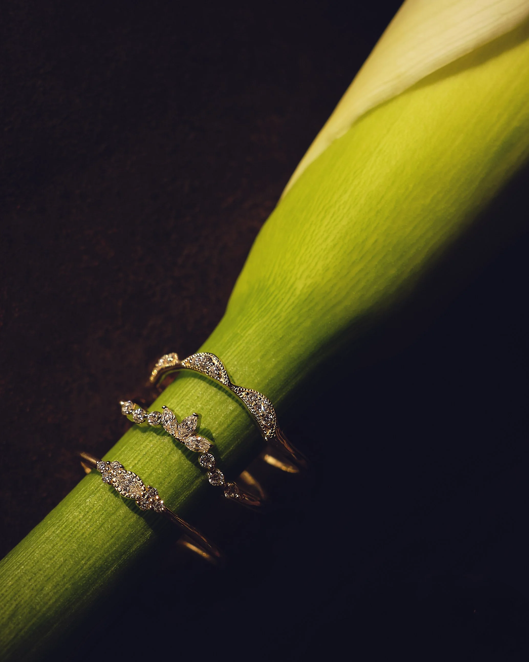 Three gold rings with diamonds and intricate designs placed on a green leaf against a dark background.