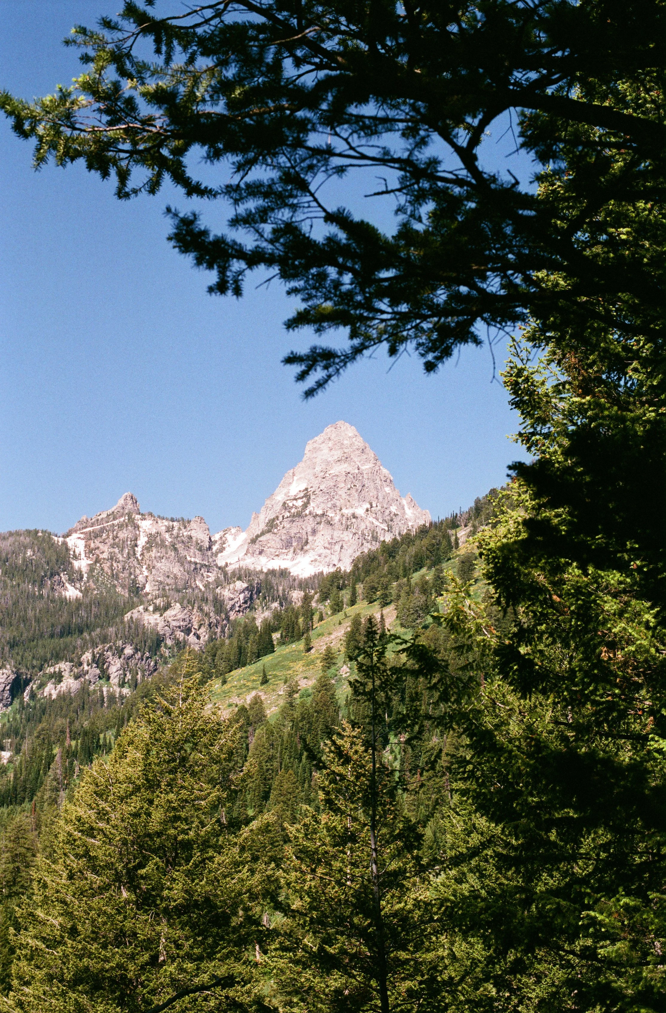 061483050026 copy.jpg