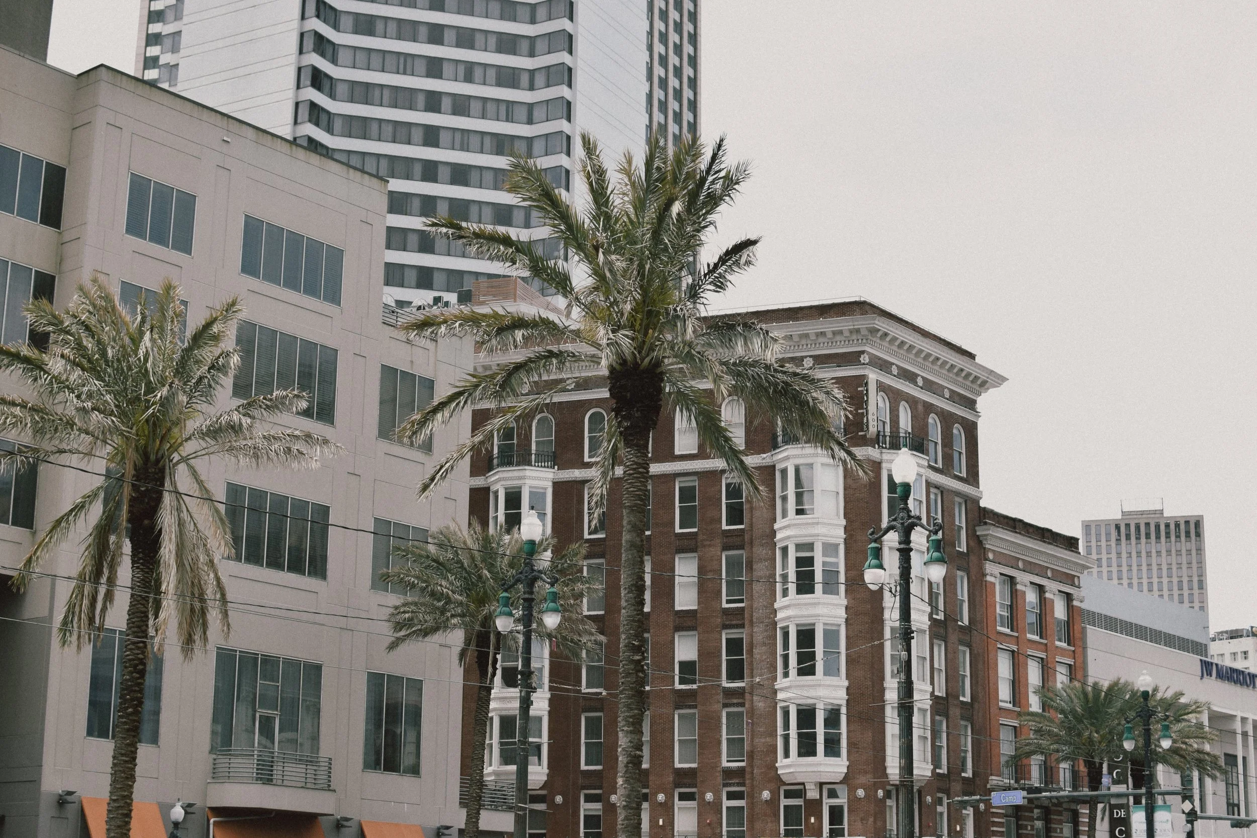 DSC_0579.jpg